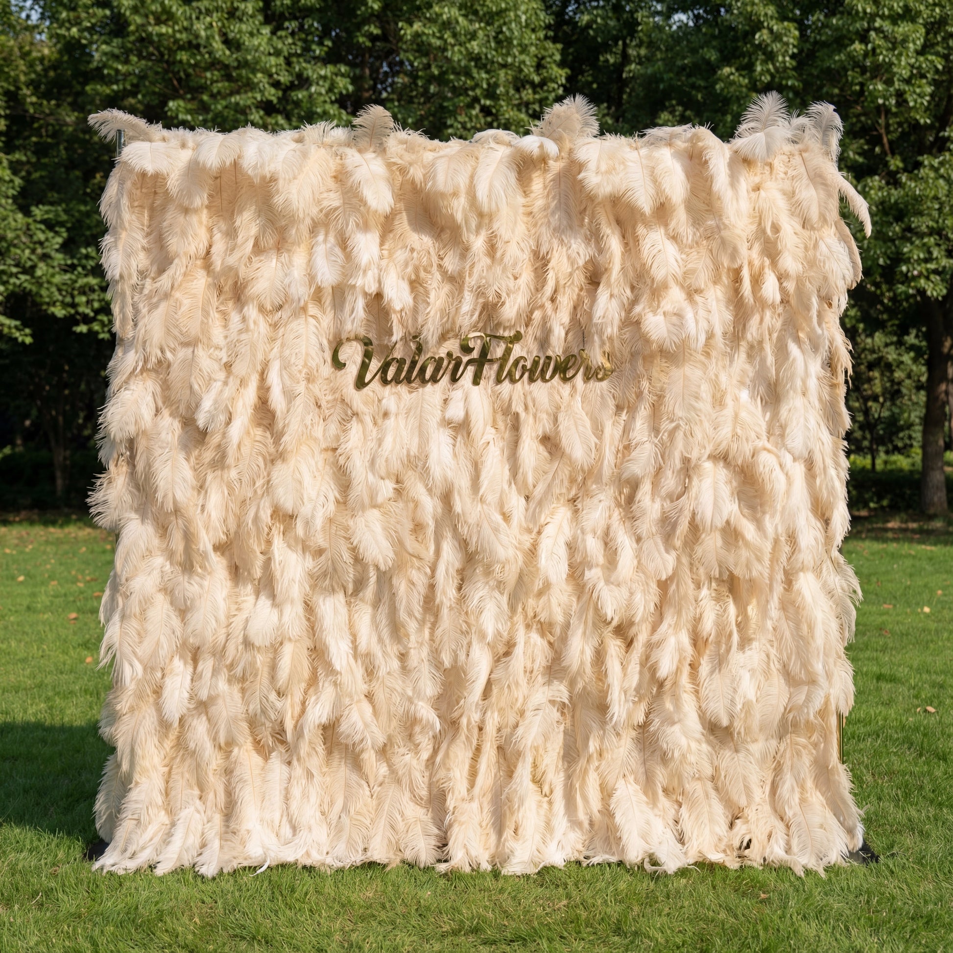 This opulent backdrop (set on sunlit grass, tree backdrop) is draped in lush, layered champagne-ivory artificial feathers, with soft gradients from pale cream to warm beige. A polished gold “ValarFlowers” sign anchors the center, glowing against the plush, airy plumage. Natural sunlight enhances the feathery texture’s depth, merging timeless neutral elegance with opulent metallic warmth to create a refined, sophisticated focal point—ideal for upscale outdoor events or romantic celebrations.