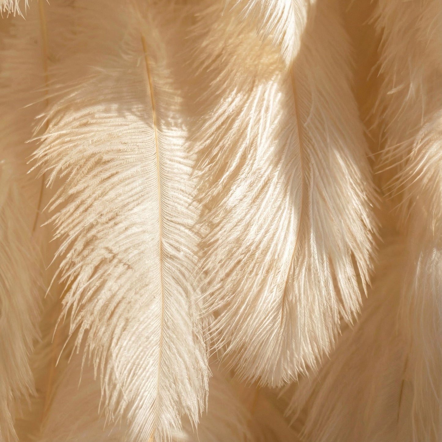 This close-up showcases soft, cream-colored artificial feathers, layered to create a plush, wispy texture. Subtle tonal gradients (ivory to pale beige) and delicate, fine filaments define each feather, while sunlight casts gentle shadows that enhance their airy, ethereal appearance. The warm, muted palette and tactile softness evoke a sense of luxury and calm, making this detail ideal for elegant decor, fashion accents, or romantic thematic elements.