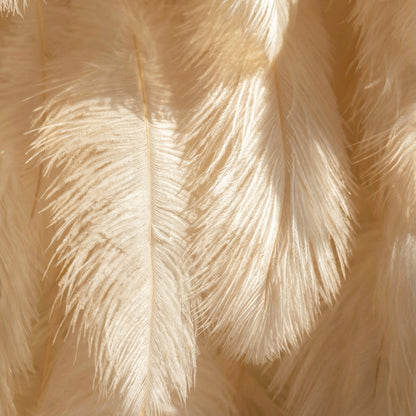 This close-up showcases soft, cream-colored ostrich feathers, layered to create a plush, wispy texture. Subtle tonal gradients (ivory to pale beige) and delicate, fine filaments define each feather, while sunlight casts gentle shadows that enhance their airy, ethereal appearance. The warm, muted palette and tactile softness evoke a sense of luxury and calm, making this detail ideal for elegant decor, fashion accents, or romantic thematic elements.