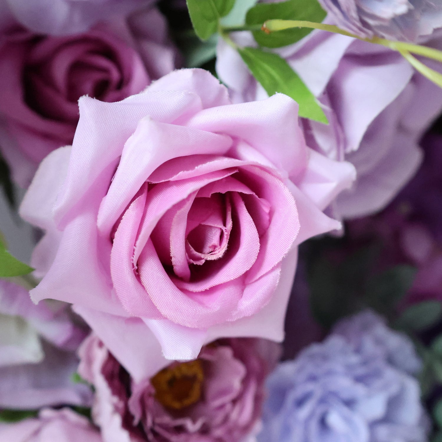 lavish lavender rose plant ValarFlowers Presents: Lavender Elegance – A Lavish Display of Purple