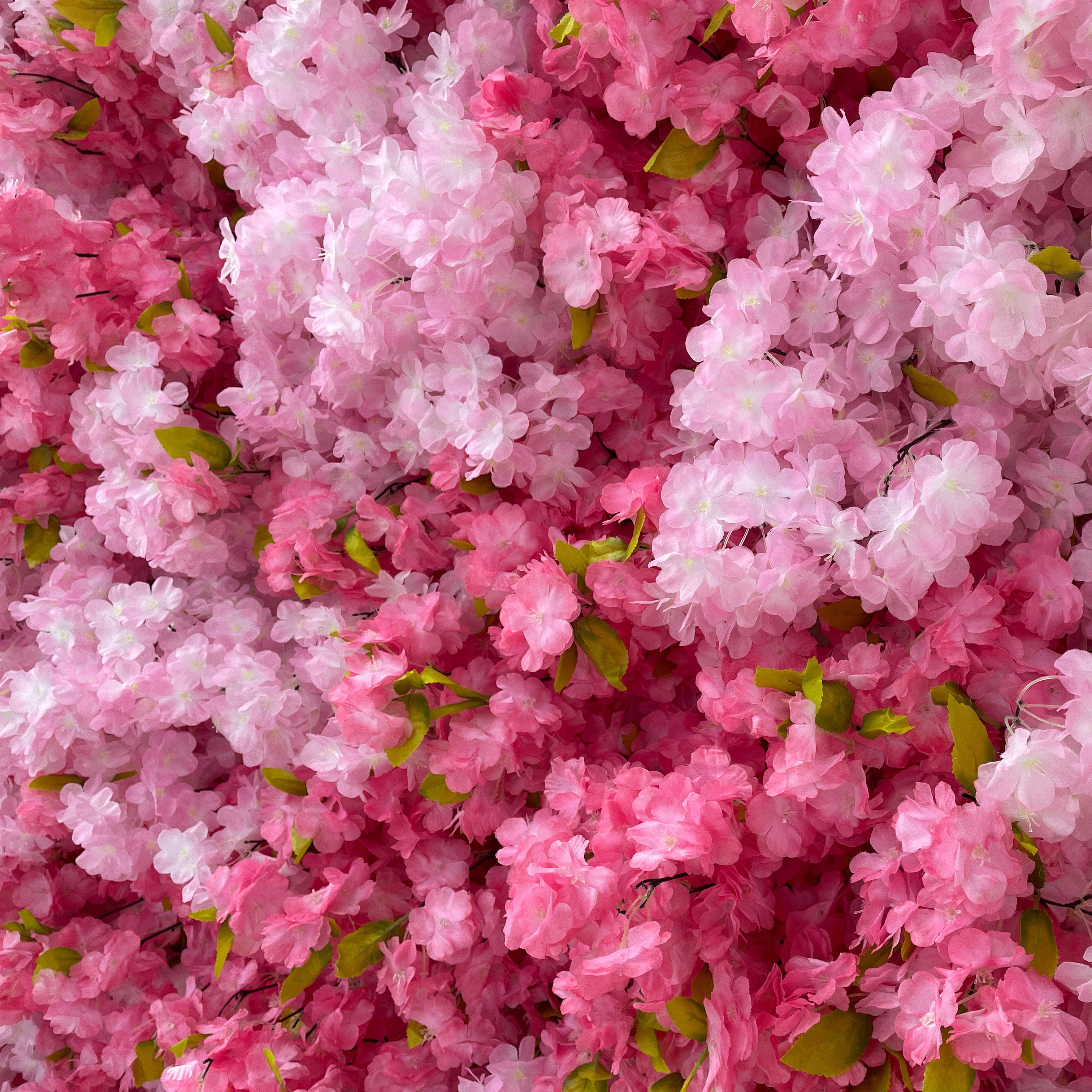 Valar Flowers premium artificial cherry blossom flower wall panel, a dense, lush floral backdrop featuring a gradient of soft pink, blush, and ivory white cherry blossoms with vibrant green foliage. This lifelike, UV-resistant floral wall creates a dreamy, romantic, ethereal aesthetic, perfect for outdoor weddings, spring events, bridal showers, engagement photos, birthday parties, and luxury event photo booth backdrops.