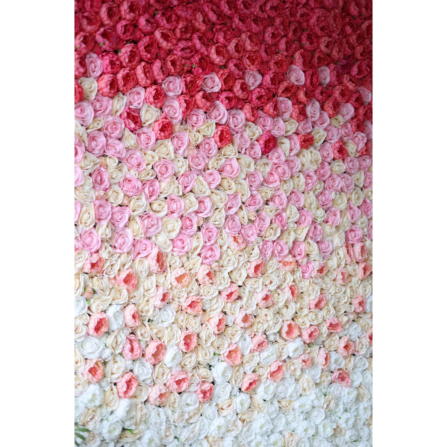 ValarFlowers red to white gradient artificial rose flower wall backdrop for wedding, party, event decor and photo booth