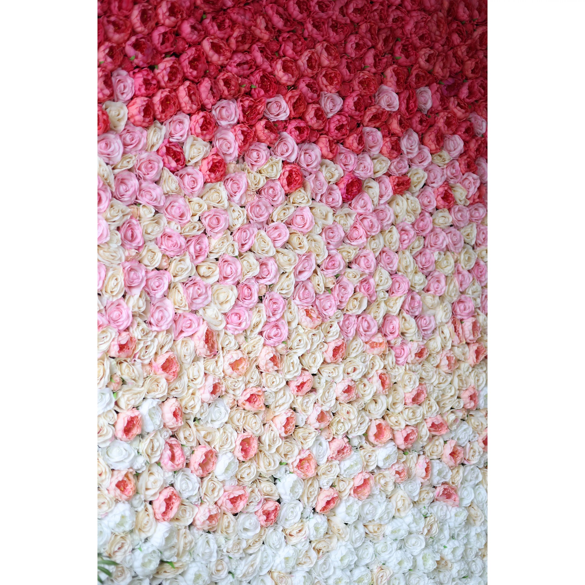 ValarFlowers red to white gradient artificial rose flower wall backdrop for wedding, party, event decor and photo booth
