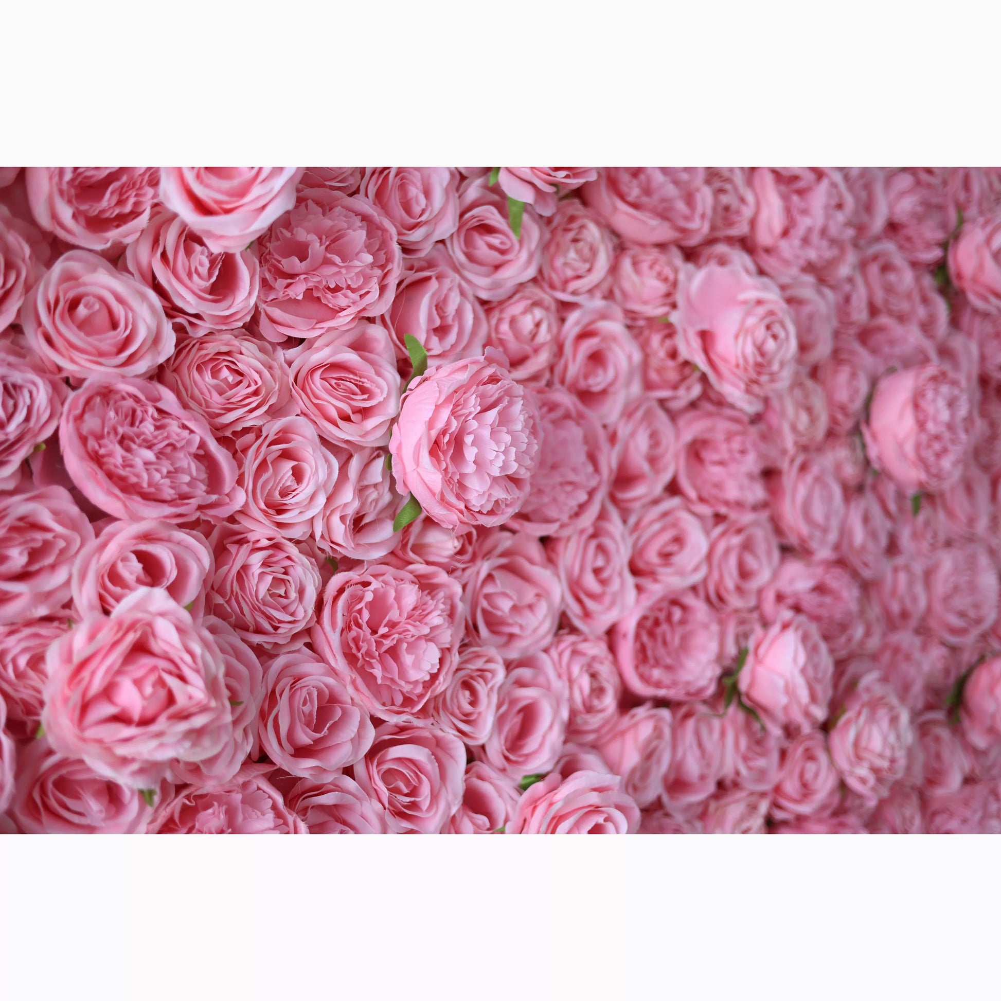 A dense wall of artificial pink roses and peonies. The soft, uniform pink hue creates a lush, romantic texture. Varied petal layers add depth, with small green leaves peeking through. Perfect for adding an elegant, dreamy vibe to decor or events. 