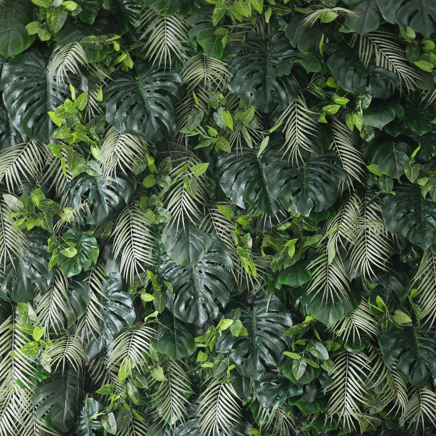 A lush artificial greenery wall features large monstera leaves, delicate fern fronds, and small green foliage. In various shades of green, they create a dense, tropical - inspired texture, bringing a fresh, natural vibe, ideal for adding an organic touch to decor. 