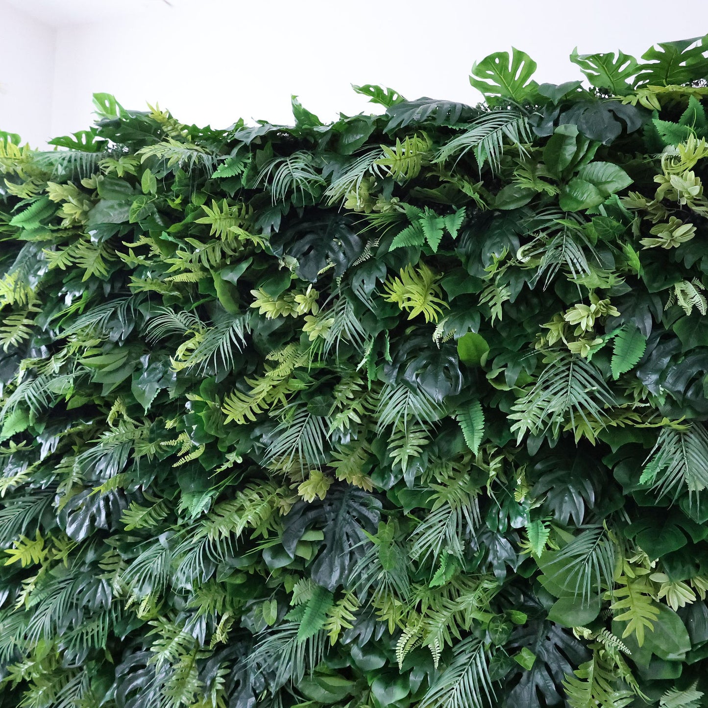 This is a lush, dense greenery wall packed with layered foliage: broad monstera leaves, delicate ferns, and feathery tropical fronds in varied shades of deep and lime green. Set against a plain white indoor backdrop, soft ambient light highlights the textured, organic arrangement—creating subtle depth through gentle shadows. The piece feels vibrant and earthy, ideal as an event backdrop or accent wall, blending natural charm with versatile decor appeal.