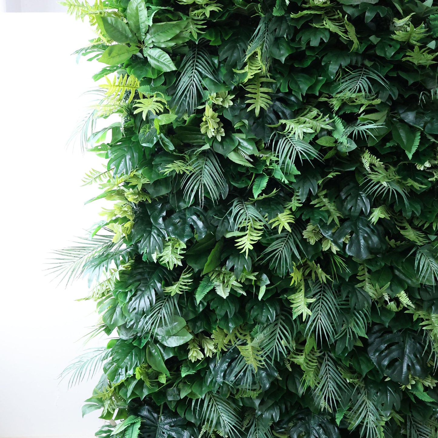 This is a dense, vertically oriented greenery wall, brimming with layered foliage: broad, glossy leaves, delicate ferns, and feathery tropical fronds in gradients of deep forest green and soft lime. Set against a plain light indoor backdrop, soft directional light (left) accentuates the lush, textured arrangement, casting subtle shadows that boost depth. The piece feels vibrant and earthy—ideal as an accent wall or event backdrop, blending natural charm with versatile decor appeal.