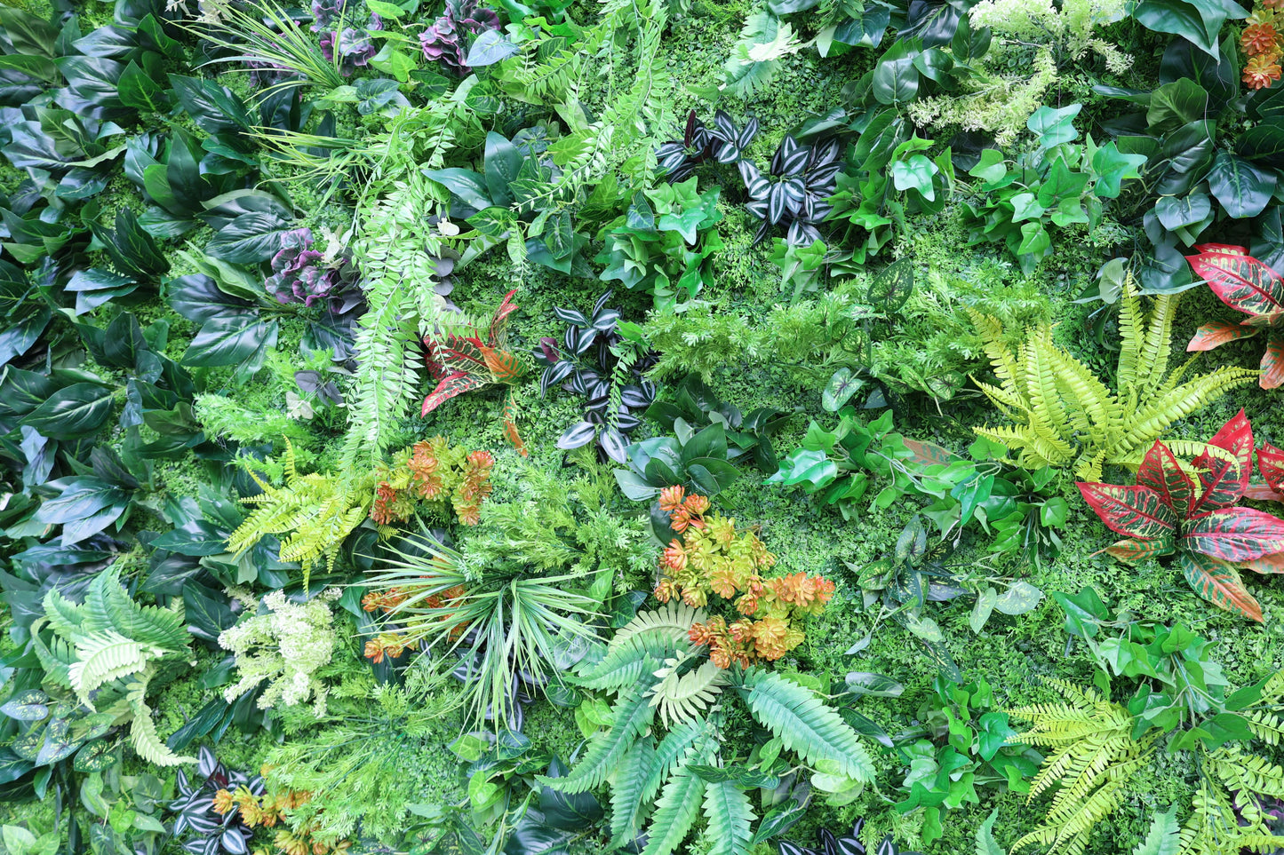 This image displays a lush, artificial green wall filled with a variety of faux plants. The greenery includes different shades of green ferns, broad - leafed plants with glossy surfaces, and variegated leaves in hues of red, purple, and white. There are also clusters of orange - green succulent - like plants, adding pops of color. The overall appearance is dense and vibrant, mimicking a natural foliage scene. 