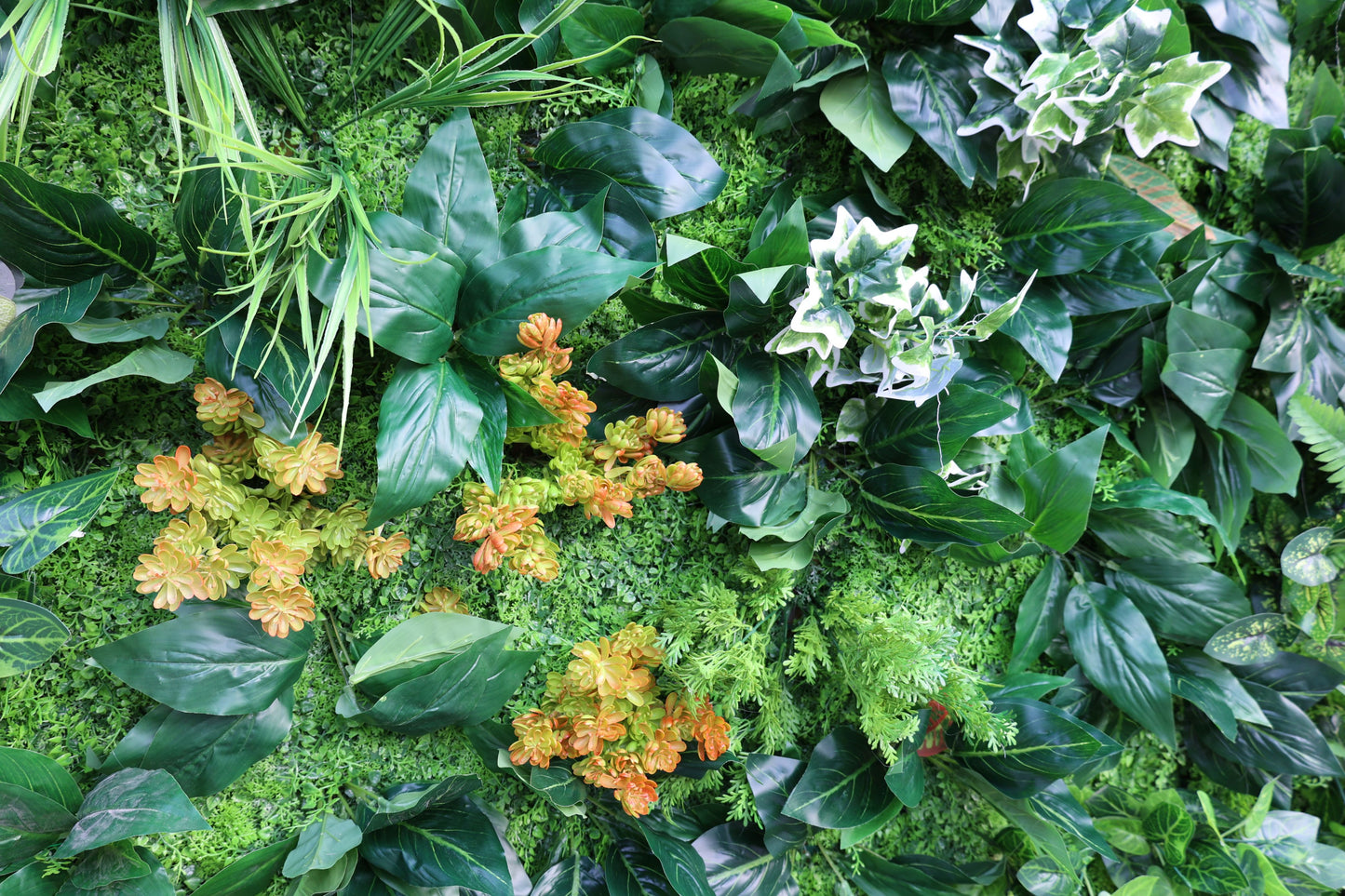 This image showcases a vibrant artificial green wall with a rich mix of foliage. There are large, glossy - green leaves resembling philodendron, along with variegated leaves with green and white patterns. Fern - like plants add a delicate texture, while clusters of orange - and - green succulent - like plants provide a pop of color. The background features a layer of moss - like greenery, enhancing the natural look. 