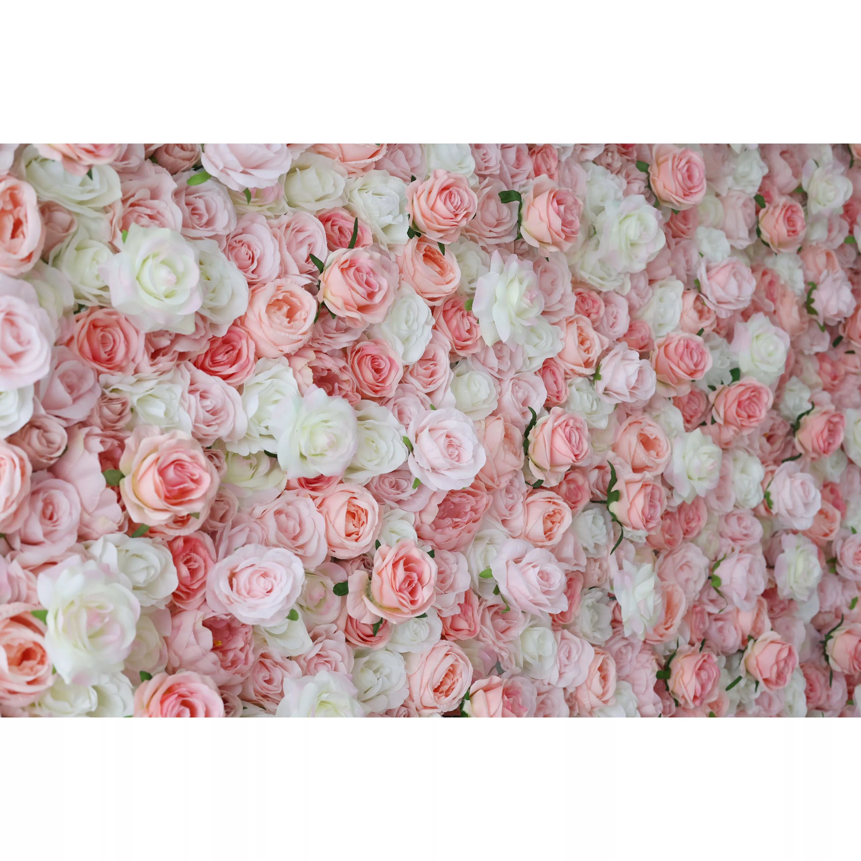 ValarFlowers 人工ローズ 壁背景: ささやく花びら - セリーヌ ソネット ValarFlowers 人工ローズ 壁背景: ささやく花びら - セリーヌ ソネット