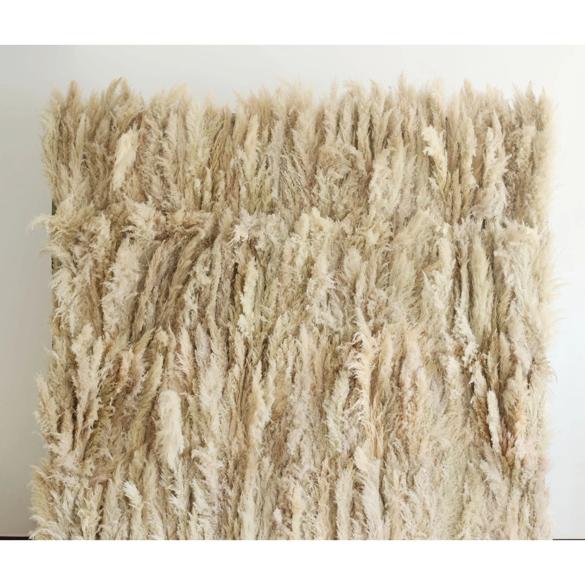 This pampas wall decor features dense, feathery plumes in soft beige tones. The textured, natural - looking fronds create a cozy, rustic ambiance, ideal for adding a touch of bohemian or minimalist style to interior spaces. Its neutral color and organic form make it a versatile accent piece. 