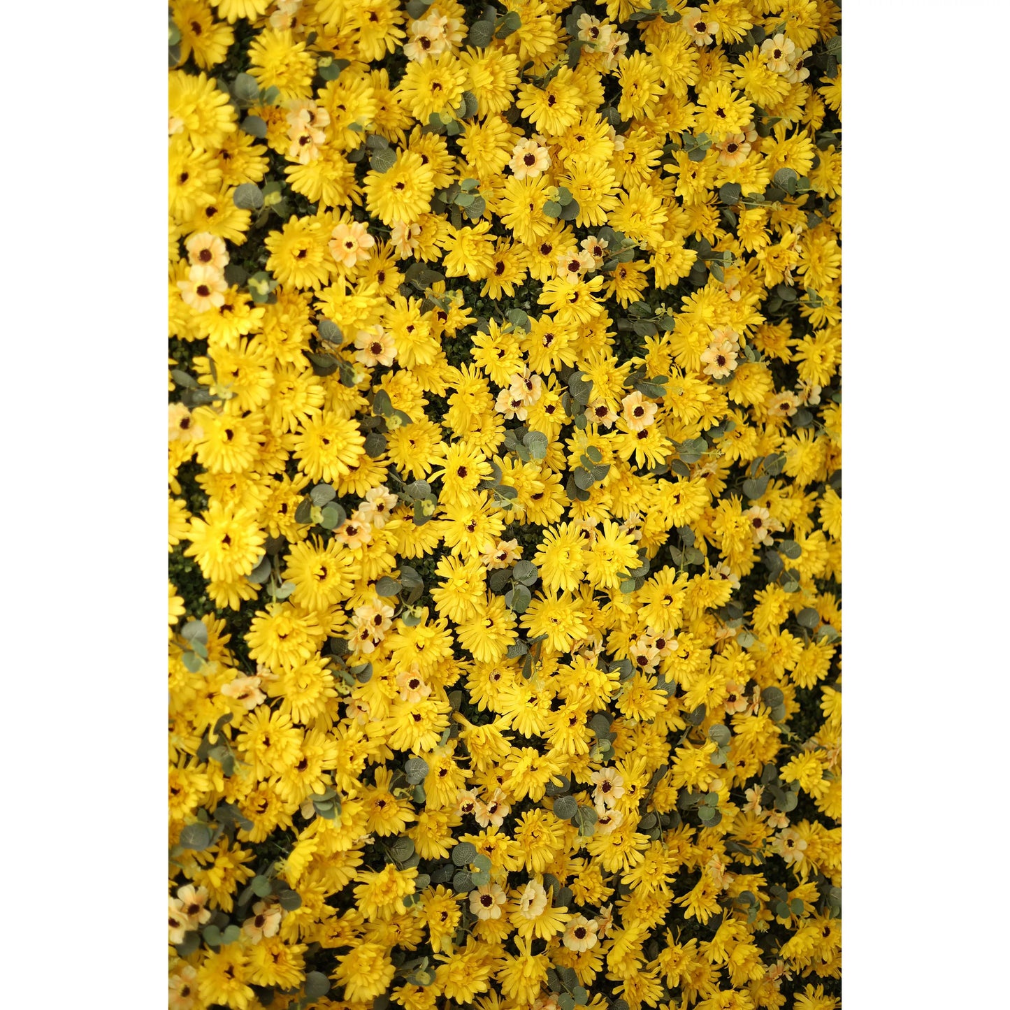 This lush, close-up view features a dense, textured arrangement of artificial yellow daisies with dark centers, interspersed with delicate, pale filler blooms and subtle green foliage. The bold, sun-drenched palette creates a cheerful, energy-filled effect that exudes warmth and joy, making it a lively backdrop for summer events, photoshoots, or spaces seeking a bright, uplifting aesthetic.

