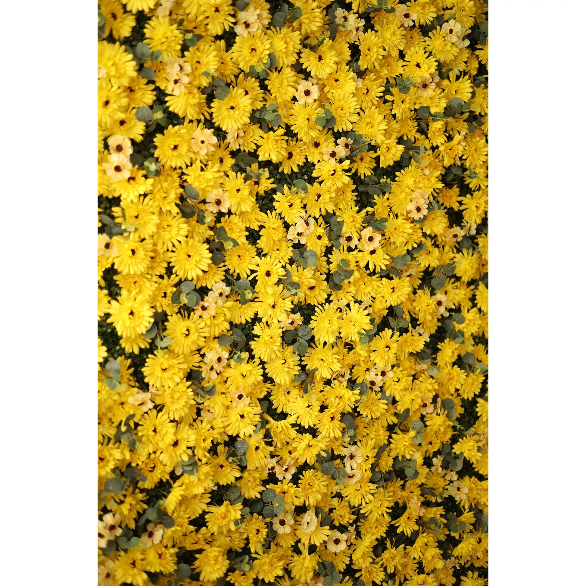 This lush, close-up view features a dense, textured arrangement of artificial yellow daisies with dark centers, interspersed with delicate, pale filler blooms and subtle green foliage. The bold, sun-drenched palette creates a cheerful, energy-filled effect that exudes warmth and joy, making it a lively backdrop for summer events, photoshoots, or spaces seeking a bright, uplifting aesthetic.
