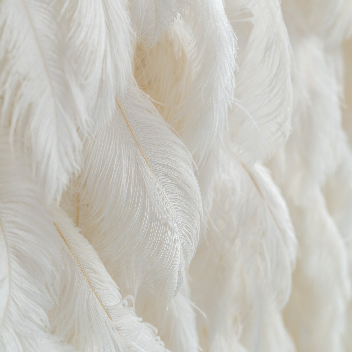 The ValarFlowers artificial feather wall features a plush, white texture. The feathers are densely arranged, creating a soft and luxurious appearance, ideal for decorative purposes.