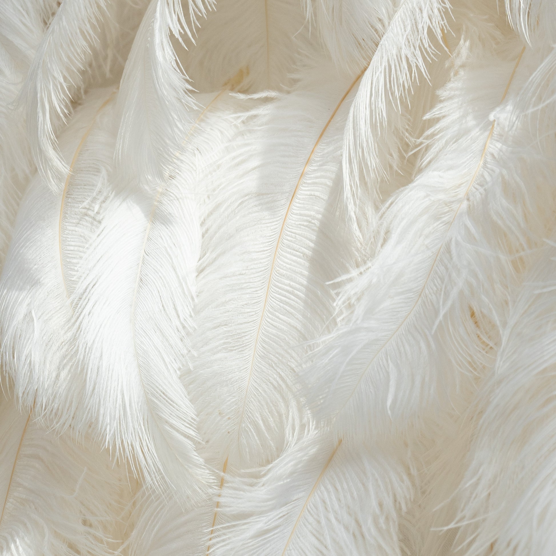 The ValarFlowers artificial feather wall features a dense arrangement of white feathers. The texture is soft and fluffy, creating a luxurious and elegant appearance.