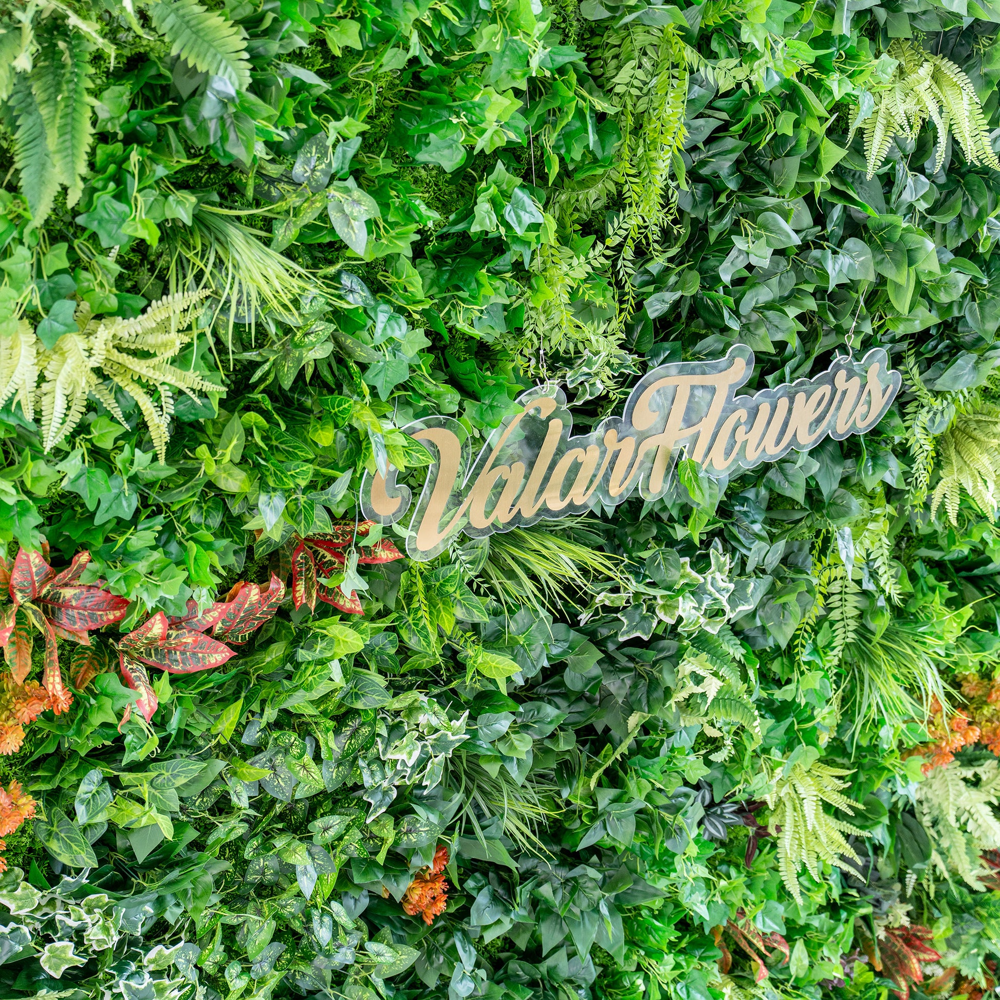 This image showcases a lush, vibrant green wall densely packed with a variety of artificial plants. The greenery includes different types of ferns, broad - leafed foliage, and vines. There are also splashes of color from red - veined leaves and orange - hued plants. The text "ValarFlowers" is prominently displayed in a stylish font, suggesting the brand responsible for this verdant display. The overall effect is rich and natural - looking. 