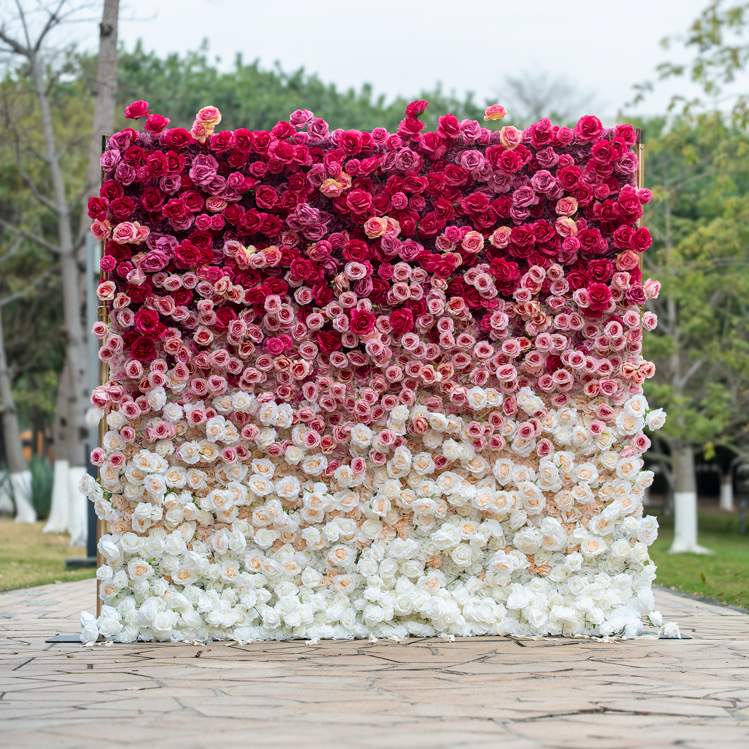 This 8x8ft backdrop features a stunning gradient of roses in shades of deep red, pink, and white, arranged on a golden stand. Set outdoors with greenery in the background, it exudes a luxurious and romantic ambiance, perfect for weddings or events. 