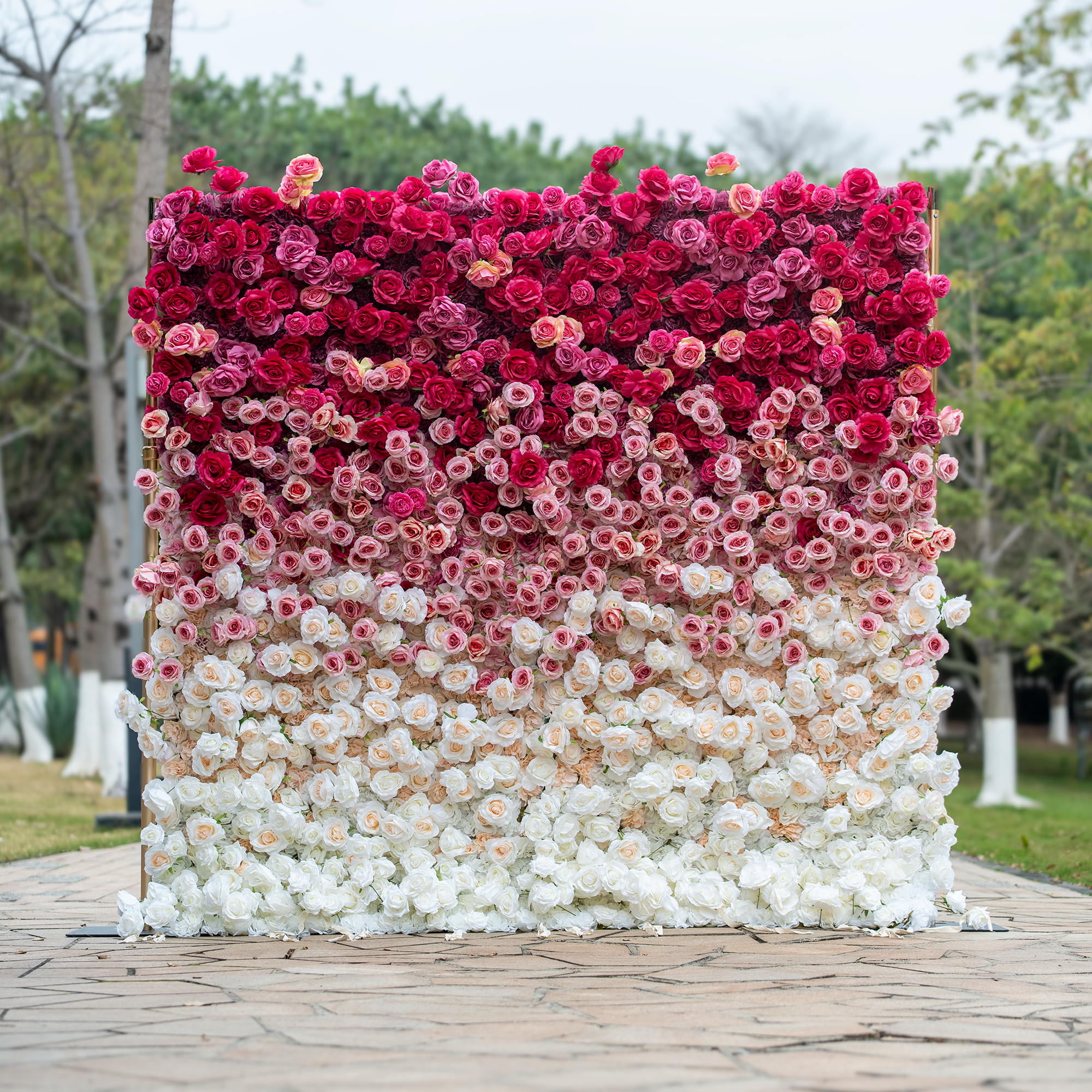 This 8x8ft backdrop features a stunning gradient of roses in shades of deep red, pink, and white, arranged on a golden stand. Set outdoors with greenery in the background, it exudes a luxurious and romantic ambiance, perfect for weddings or events. 