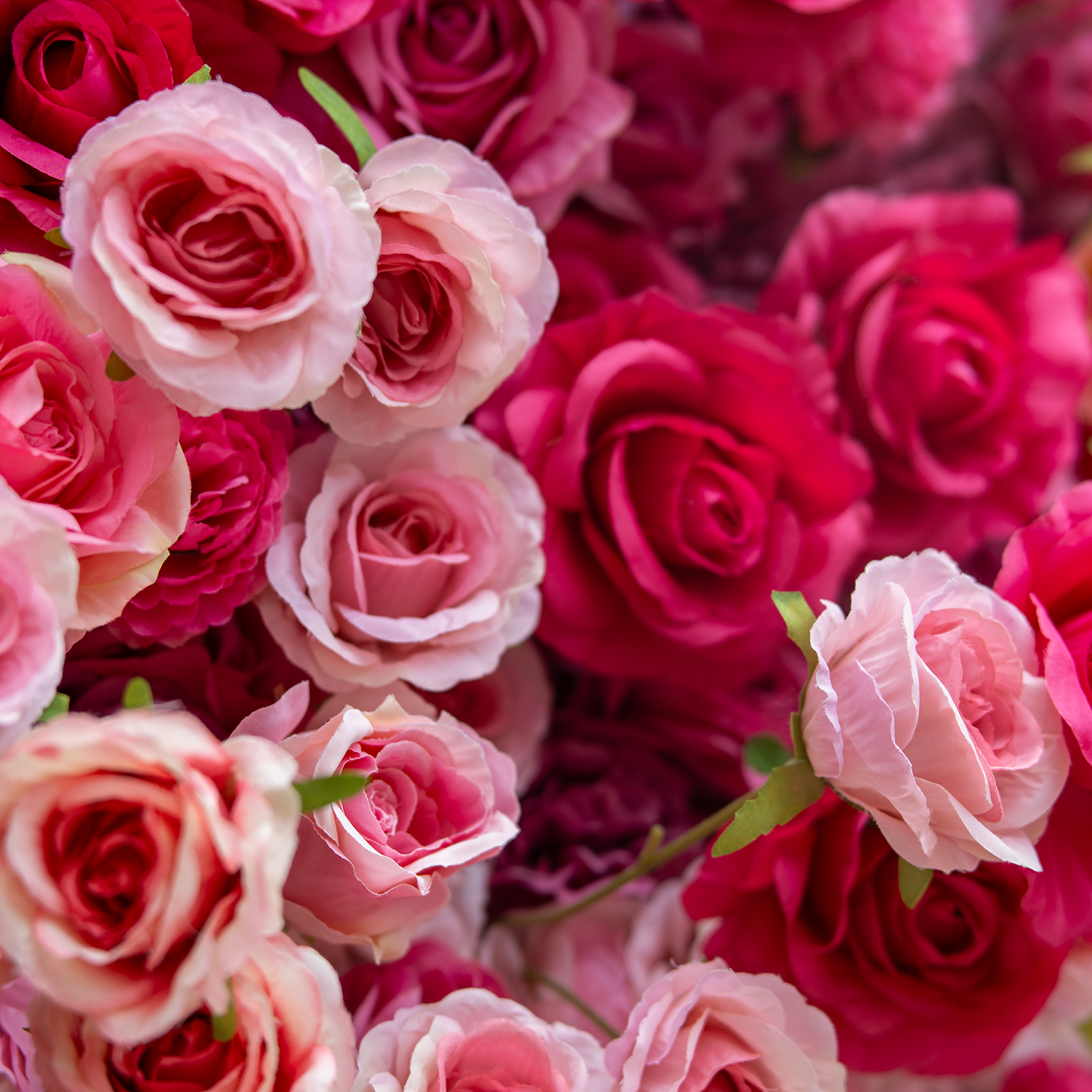 This backdrop is a lush assembly of artificial roses in a blend of soft pink and deep red hues. The densely - packed blooms create a rich, romantic tapestry, exuding elegance and passion, ideal for weddings or upscale events. 