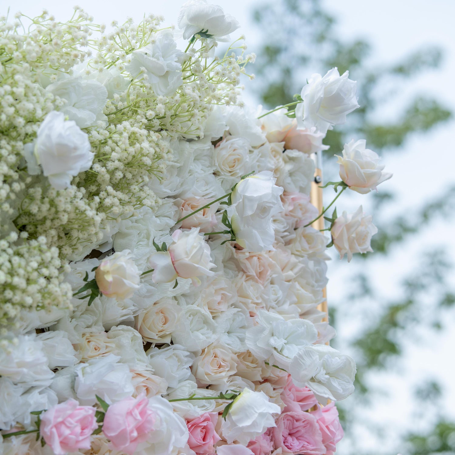 This close - up photo features a lush arrangement of white and light pink roses, interspersed with baby&