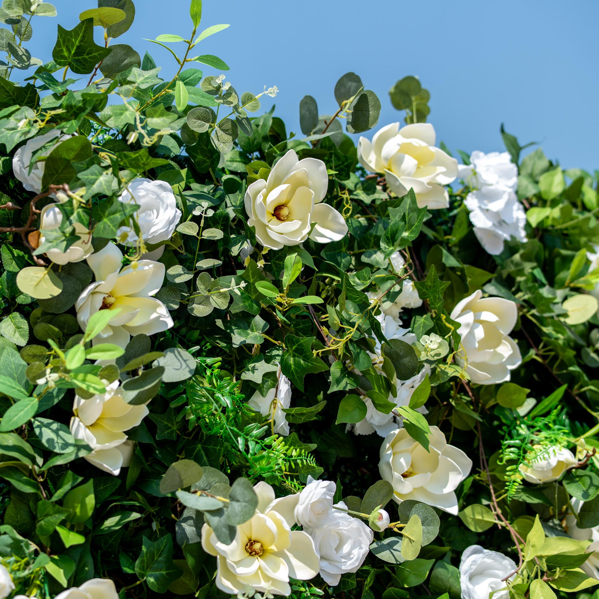 This backdrop features a lush arrangement of artificial foliage interspersed with white flowers. Prominent among the blooms are large, white - petaled flowers resembling magnolias and smaller white roses. The greenery includes various types of leaves, such as eucalyptus - like and fern - like foliage.

The color scheme is a fresh combination of vibrant green leaves and pure white flowers, creating a natural and elegant style. It's ideal for events seeking a touch of nature and sophistication. 