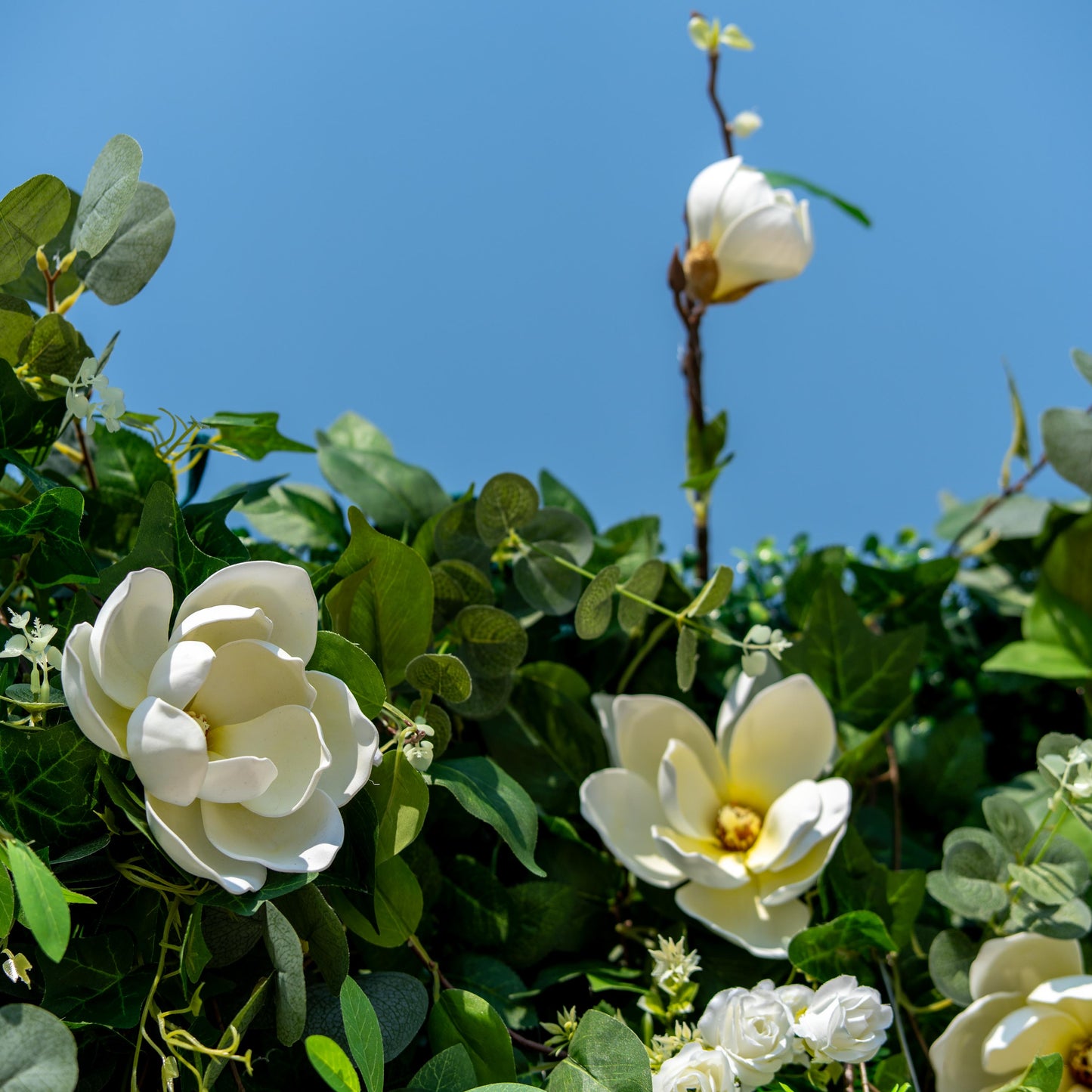 This backdrop features a mix of artificial flowers and greenery. The flowers include large, white magnolia - like blooms and smaller white roses. The greenery consists of various leaves, such as round eucalyptus - like and pointed ivy - like ones.

The color palette is dominated by white flowers and lush green foliage. The style is natural and elegant, creating a fresh and serene atmosphere, ideal for events seeking a touch of nature. 