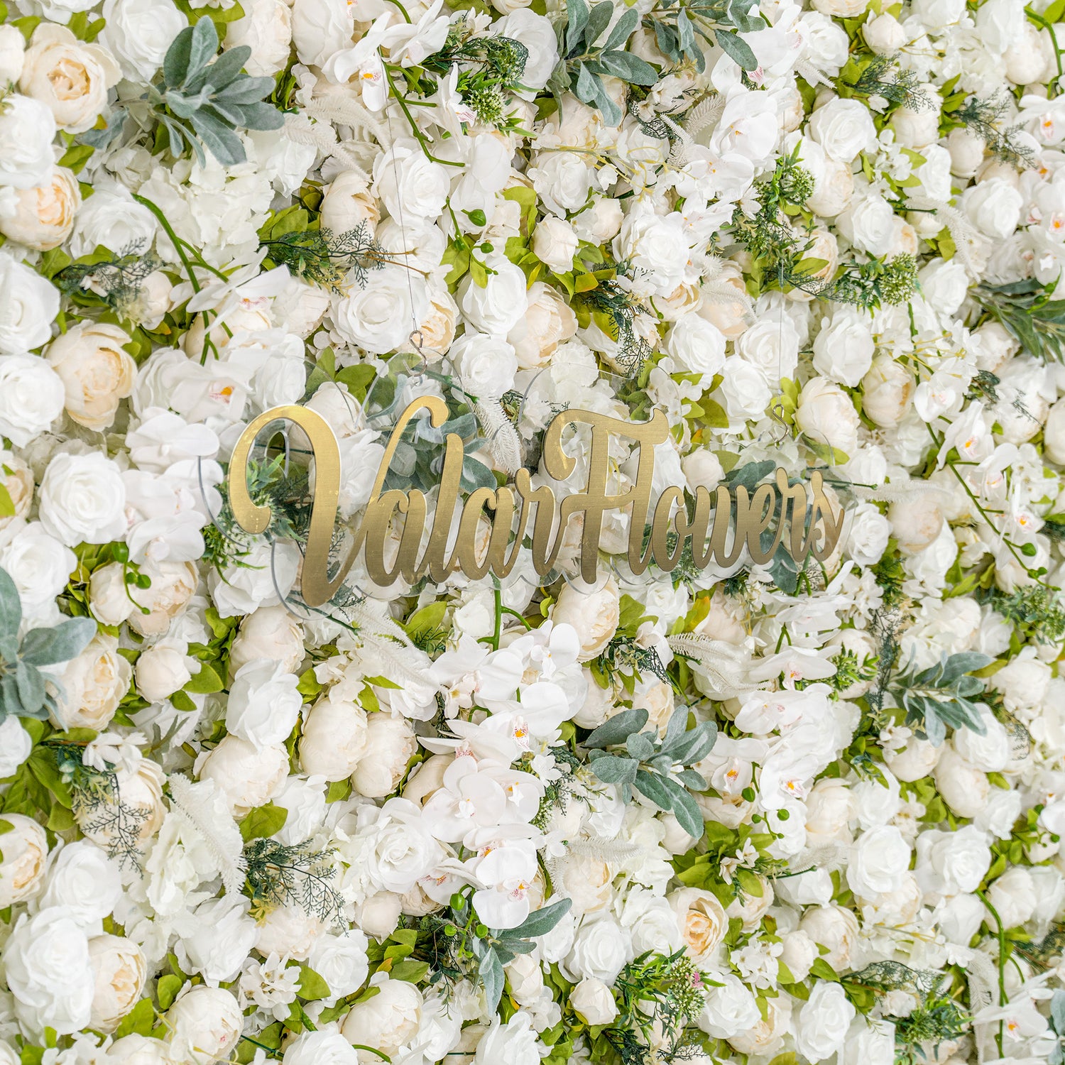 This backdrop is a lush arrangement of white roses, peonies, and orchids, interspersed with green foliage. With a monochromatic white and green color theme, it exudes elegance, making it perfect for weddings, galas, or upscale events. The “Valar Flowers” sign adds a touch of branding. 