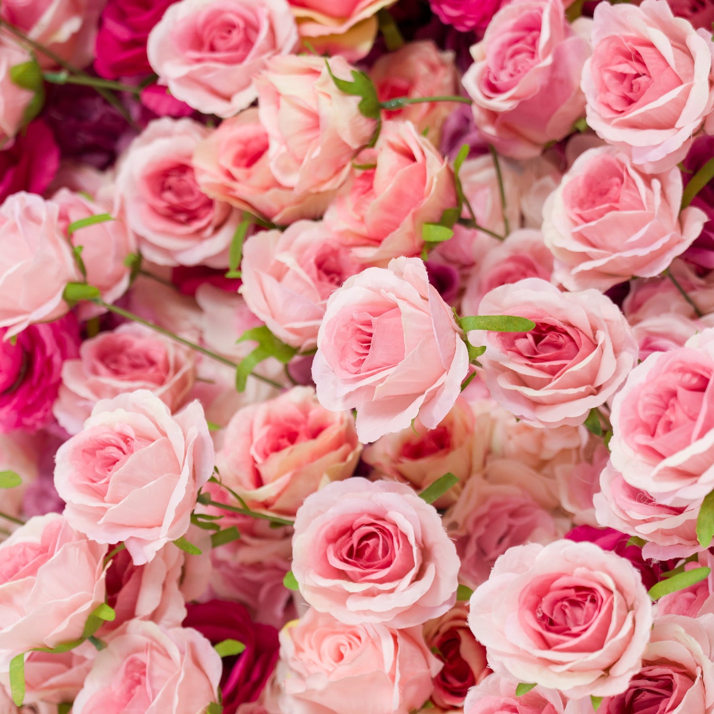 Valar Flowers Roll Up Fabric Artificial Red to White Gradient Flower Wall Wedding Backdrop, Floral Party Decor, Event Photography-VF-372-2