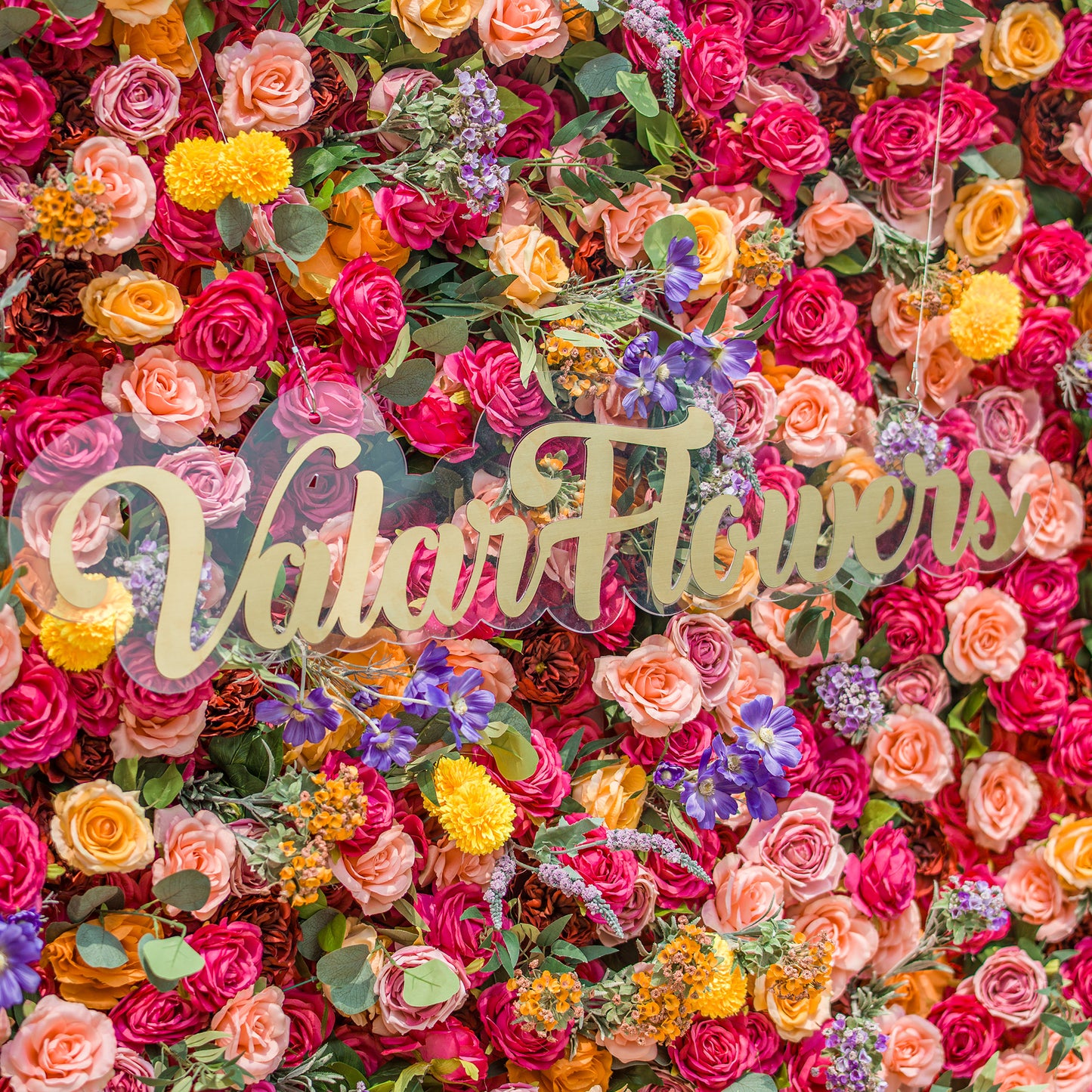 A vibrant floral wall by ValarFlowers showcases a lush mix of blooms—roses in pink, peach, and red, plus yellow pom - poms, purple blossoms, and green foliage. The gold “ValarFlowers” logo stands out on a clear acrylic panel, set against the colorful, dense arrangement. Perfect for events, this eye - catching display blends natural beauty with brand charm. 