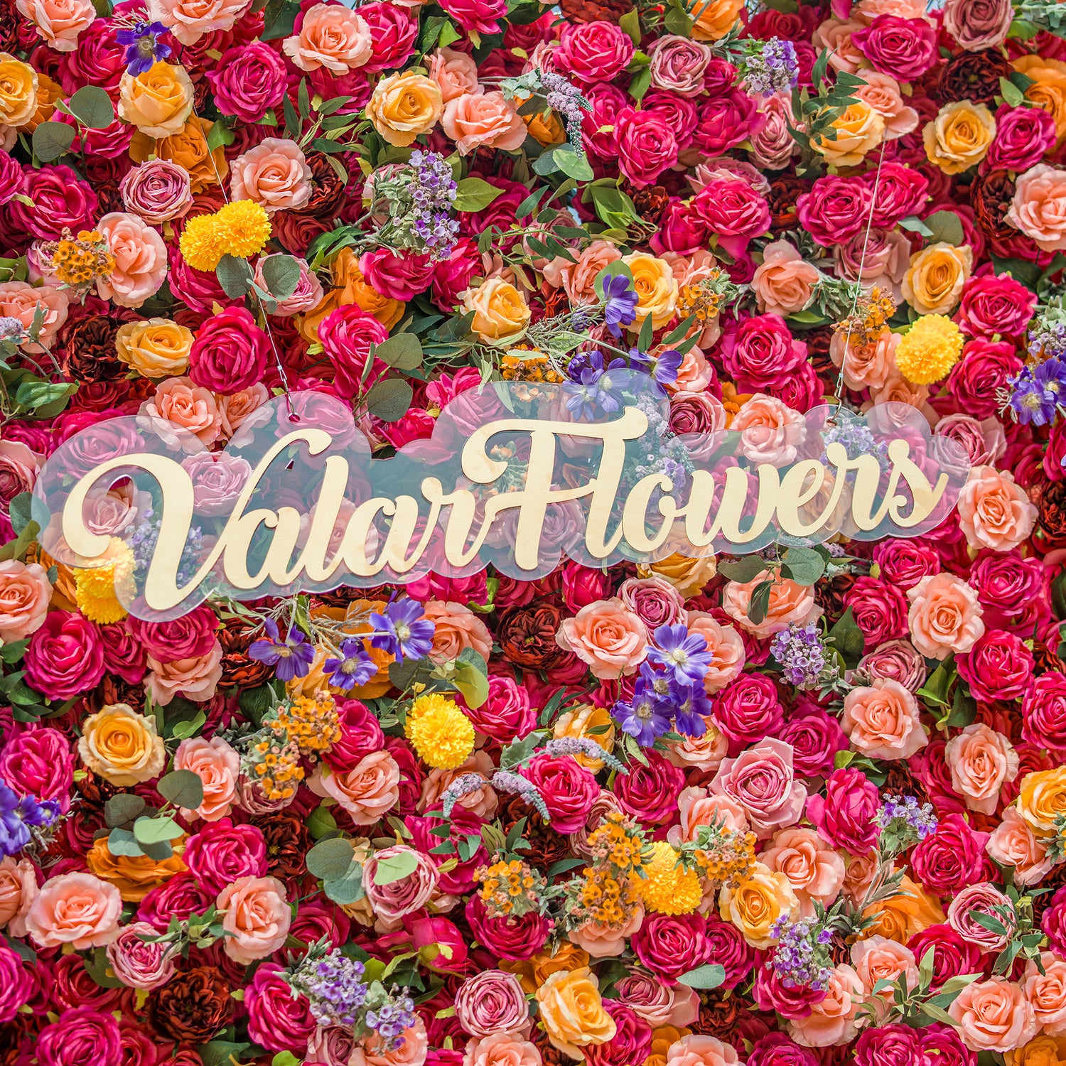 A vibrant floral wall by ValarFlowers bursts with color! It features an array of roses in pink, peach, and red, plus yellow pom - poms, purple blossoms, and green foliage. The gold “ValarFlowers” logo on clear acrylic stands out, creating a lush, eye - catching backdrop. Perfect for events, this dense, colorful display blends natural beauty with brand charm, offering a picturesque setting for photos and celebrations. 