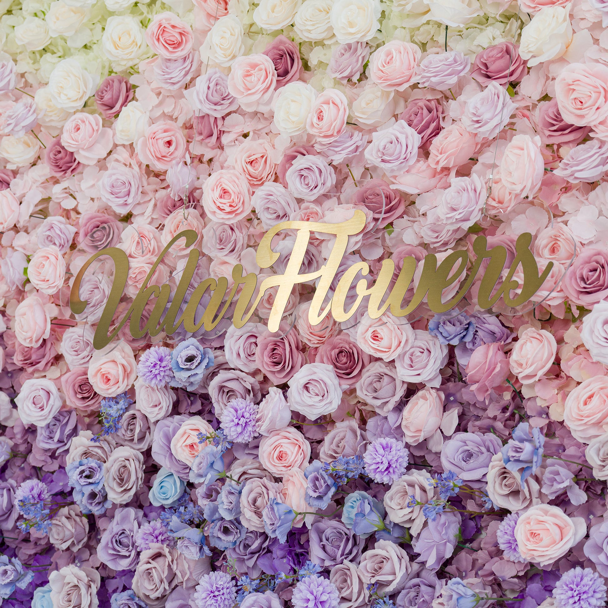 A lush floral wall by ValarFlowers showcases a gradient of roses in white, pink, lavender, and blue, plus delicate filler blooms. The gold “ValarFlowers” sign adds elegance. The pastel - to - deeper color theme creates a romantic, dreamy vibe—perfect for weddings, events, or brand activations, blending natural beauty with polished charm. 