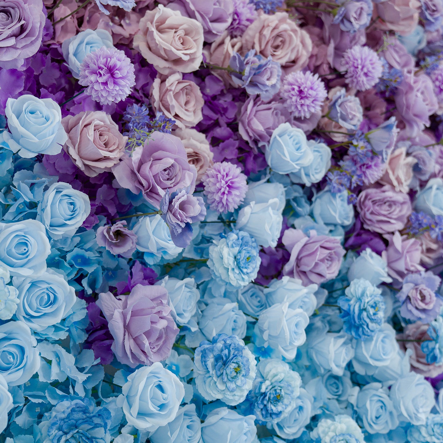 This vibrant floral wall features a mix of roses, chrysanthemums, and small blue blooms. The color theme—shades of lavender, soft blue, and deep purple—creates a dreamy, elegant vibe. Perfect for weddings, galas, or upscale events, it blends romantic hues for a sophisticated, photo - worthy backdrop. 
