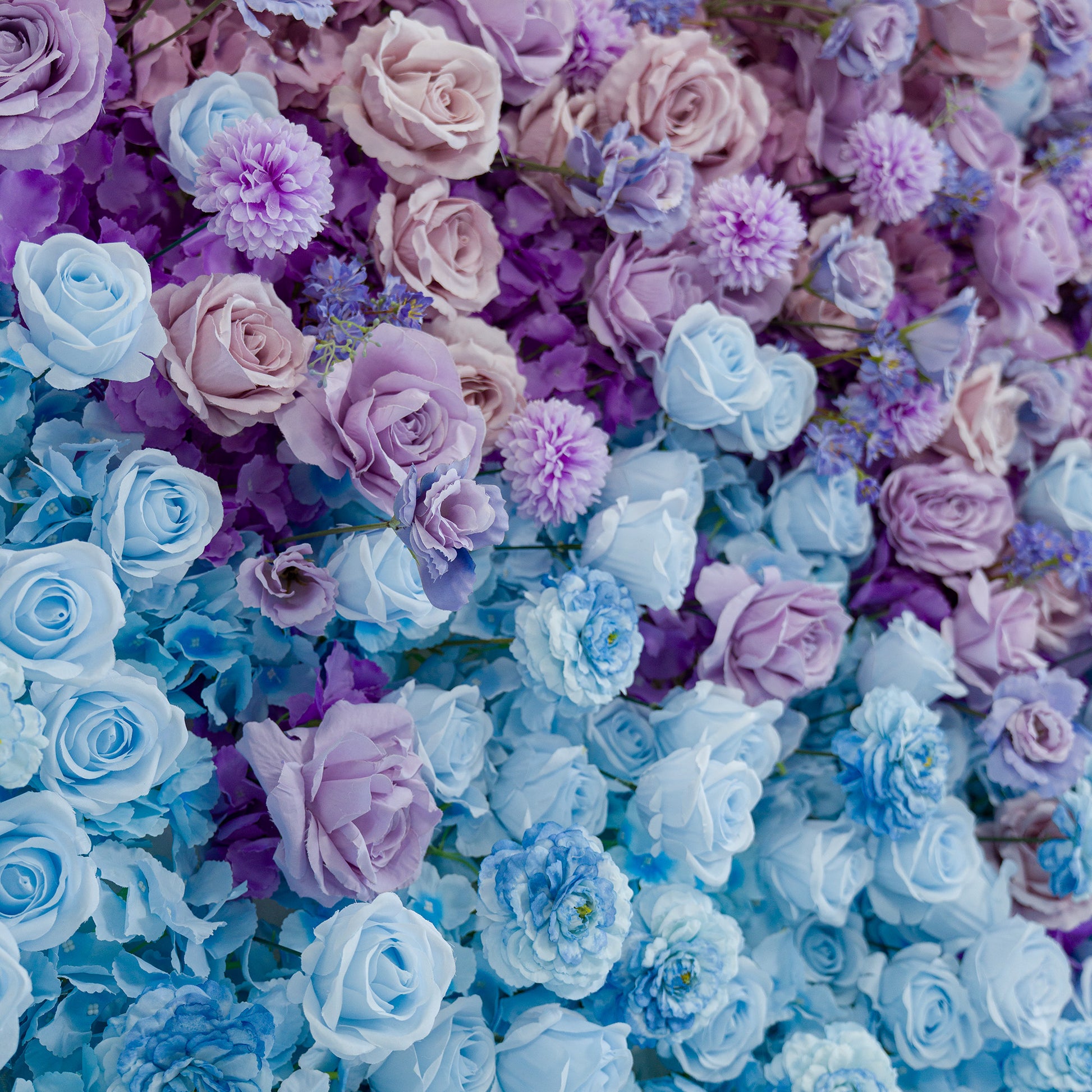 This vibrant floral wall features a mix of roses, chrysanthemums, and small blue blooms. The color theme—shades of lavender, soft blue, and deep purple—creates a dreamy, elegant vibe. Perfect for weddings, galas, or upscale events, it blends romantic hues for a sophisticated, photo - worthy backdrop. 