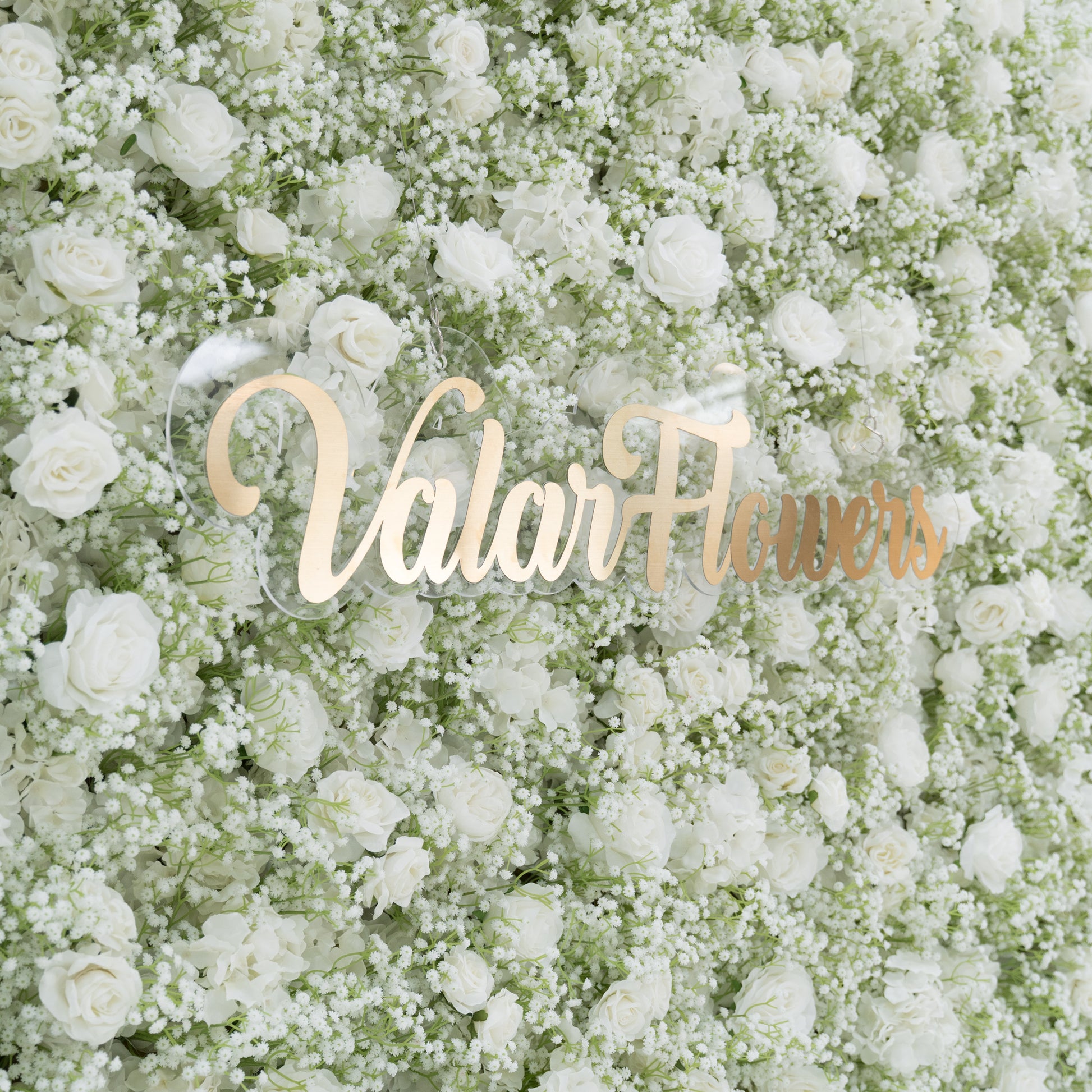 This image showcases a stunning floral wall by Valar Flowers, densely adorned with white roses and baby's breath. The elegant golden "Valar Flowers" branding stands out against the lush, pure white blooms. Set against a backdrop that highlights the flowers, it exudes a sense of sophistication, purity, and natural beauty, perfect for creating a romantic and refined atmosphere in events or decorative settings.