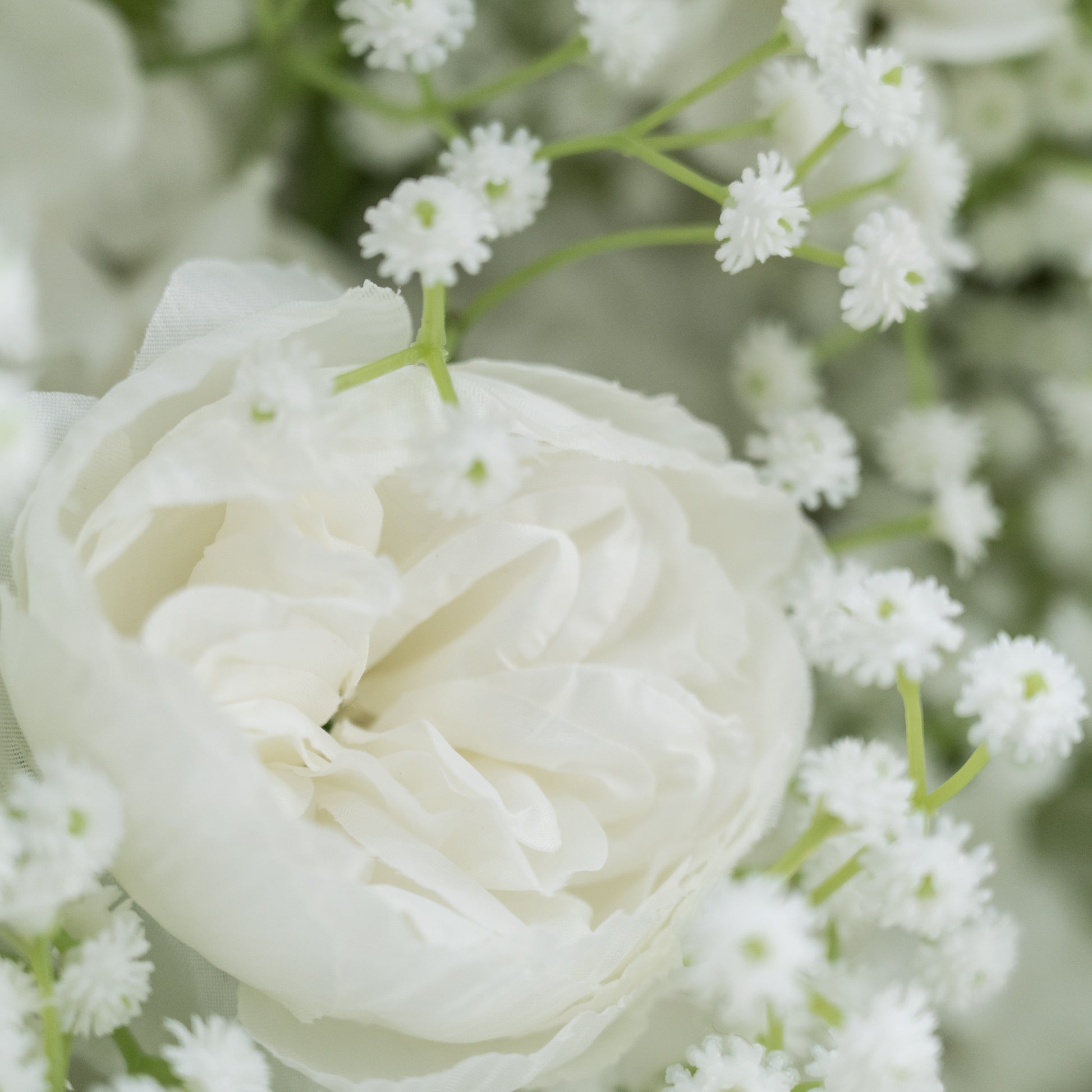 This image showcases a close - up of a delicate white flower, likely a rose or peony, with soft, ruffled petals. Surrounding it are tiny, star - like white baby's breath flowers on slender green stems. The blooms create a pure, elegant, and tranquil scene, exuding a sense of innocence and grace, perfect for adding a touch of refined beauty to any setting.