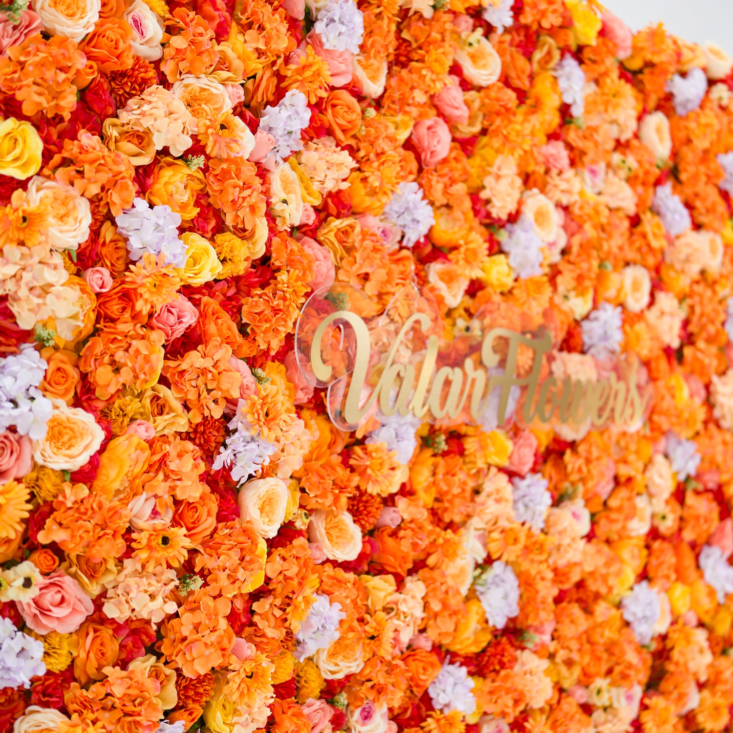 This image showcases a vibrant floral backdrop by Valar Flowers, featuring a dense arrangement of artificial flowers in warm shades of orange, peach, red, and hints of pink and purple. The textured display, with varied blooms like roses and daisies, exudes energy and warmth. The brand’s name is elegantly integrated in gold, making it perfect for adding a bold, nature-inspired element to events or interiors, highlighting Valar Flowers’ craftsmanship in eye-catching, sophisticated decor.