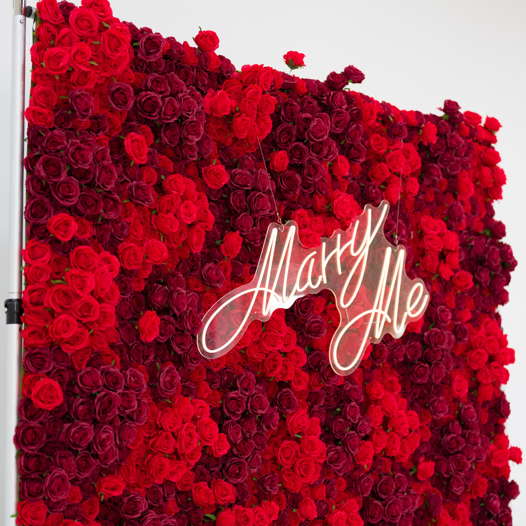 This striking display features a dense wall of layered red and burgundy roses, their lush petals creating a romantic, velvety texture. Centered on the blooms is a glowing "Marry Me" neon sign (cursive, light-lit), which pops vividly against the rich, deep hues. The bold, elegant palette exudes passion, making this backdrop perfect for proposal setups, romantic events, or wedding decor.