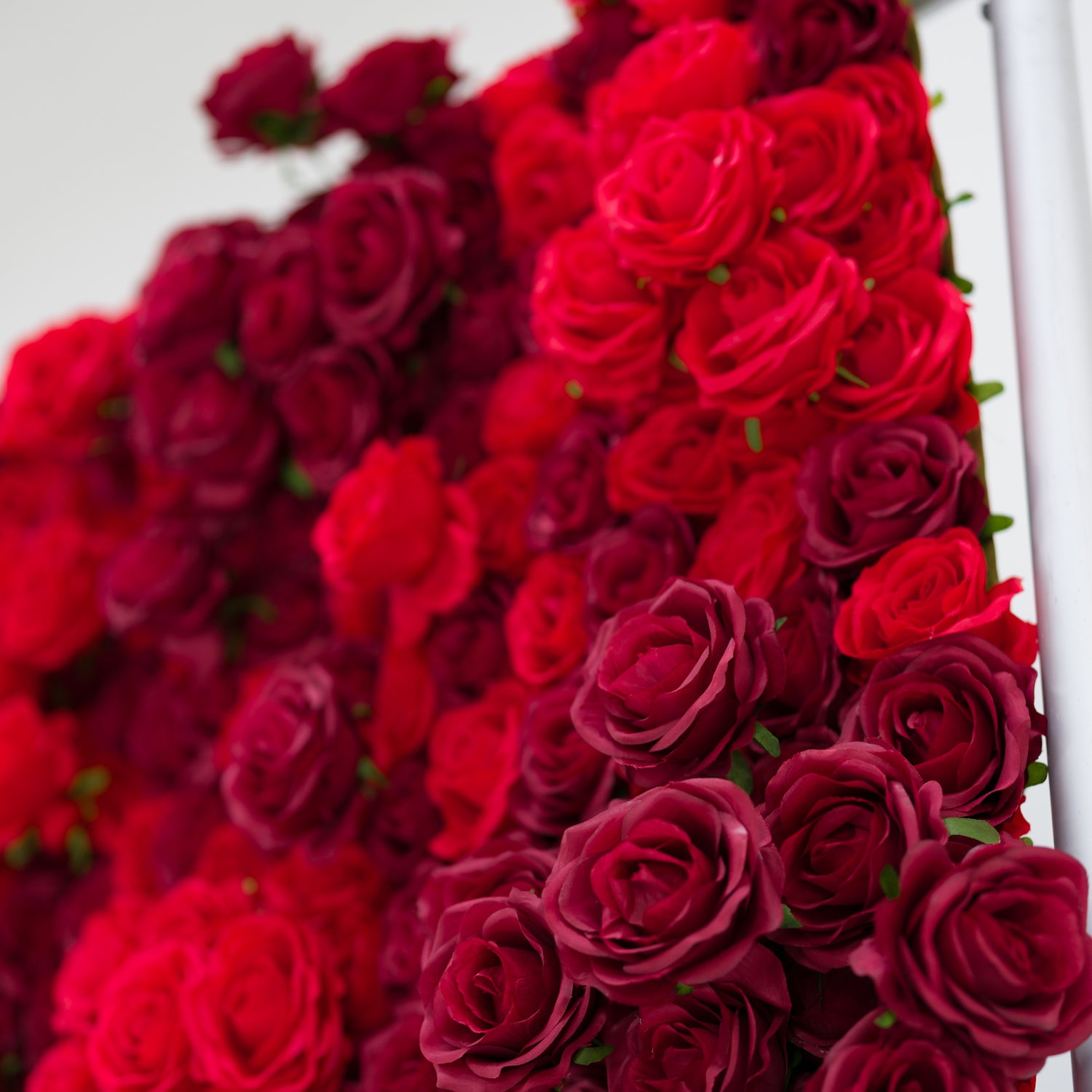 This lush close-up bursts with a dense cluster of red roses, blending vivid crimson and deep burgundy hues. Their soft, ruffled petals create a velvety, romantic texture, filling the frame with rich, warm depth. The layered blooms exude passion and elegance, making this display ideal for romantic event decor, wedding styling, or intimate floral accents.