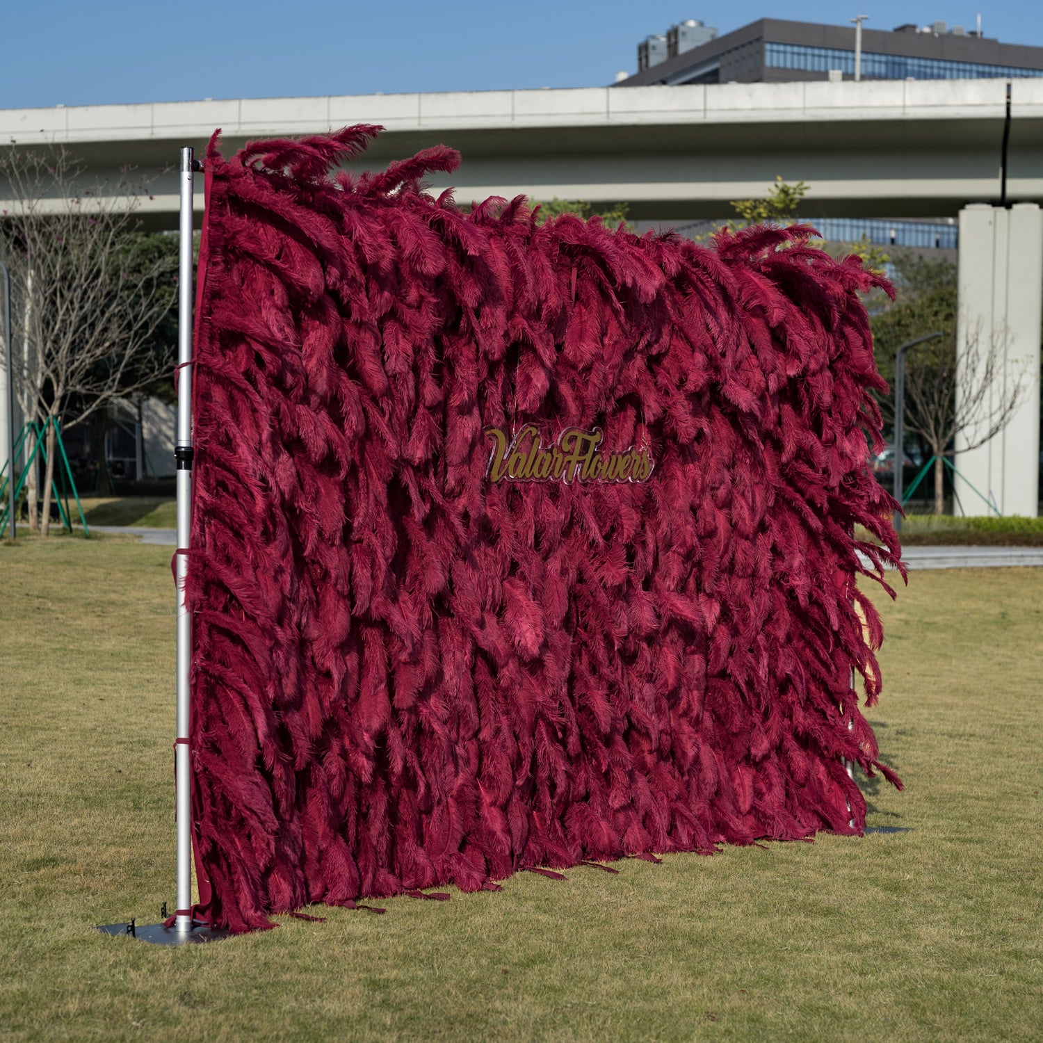This opulent 12x8ft (3.6x2.4m) outdoor backdrop features a dense wall of deep burgundy ostrich feathers, creating a plush, velvety texture with rich vertical depth. Centered on its surface, a glossy gold cursive logo reads “ValarFlowers,” adding a refined, elegant touch. It stands on a sunlit green lawn, framed by modern architecture and trees, making it a striking focal point for weddings, brand activations, or upscale outdoor events.