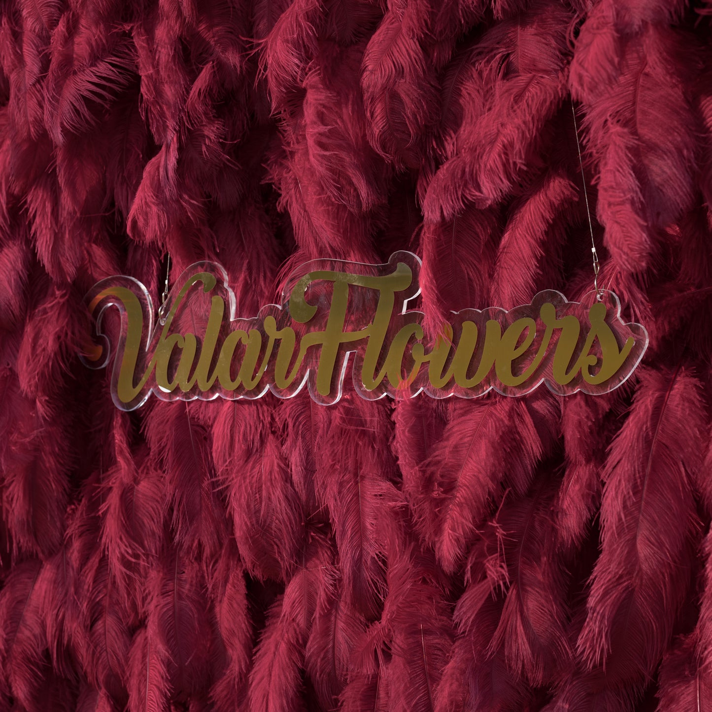 This intimate close-up showcases a dense, velvety arrangement of deep burgundy ostrich feathers. Their soft, wispy plumes overlap to create rich, layered texture and dramatic depth. The luxurious wine-red hue and tactile, flowing details evoke opulence and warmth, making it a striking focal point for event decor, fashion accents, or artistic installations.