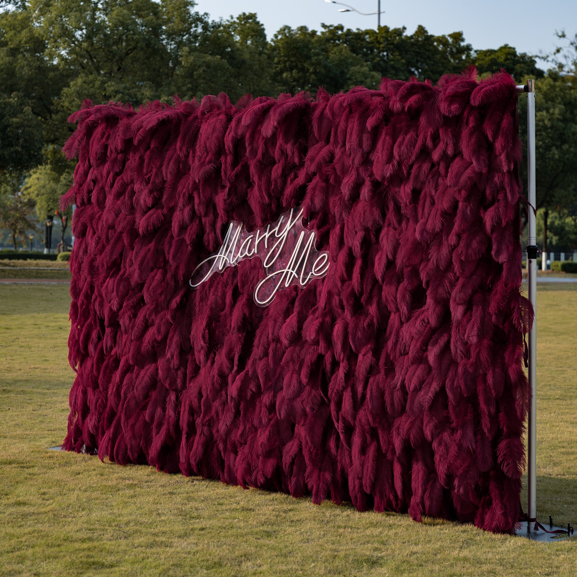 This opulent outdoor proposal backdrop features a dense wall of deep burgundy ostrich feathers, creating a plush, velvety texture with rich vertical depth. At its center, a sleek, clear acrylic sign reads “Marry Me” in elegant white cursive, adding a romantic, modern touch. Set on a sunlit green lawn framed by trees, it is an unforgettable, luxurious focal point for a moment of love and commitment.
