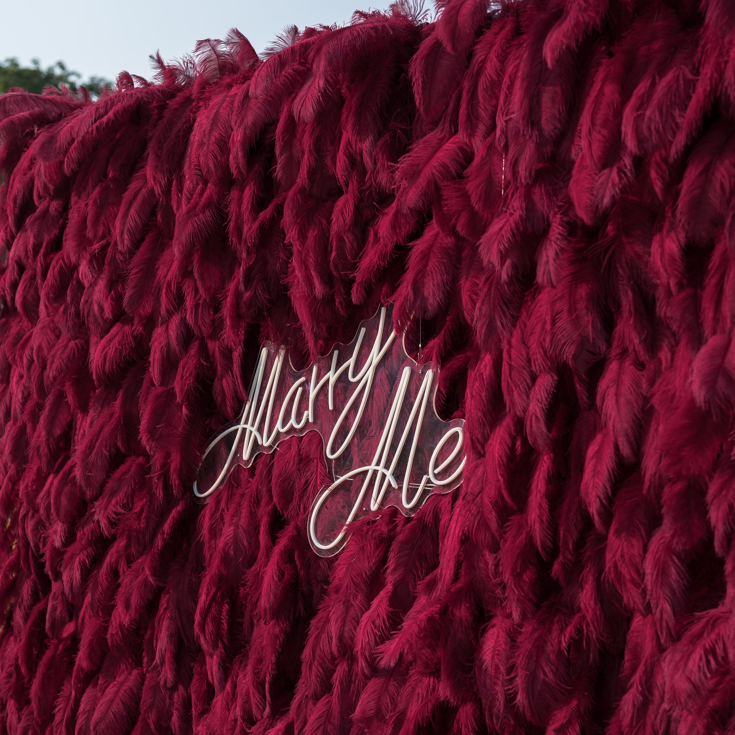 This intimate close-up showcases a romantic proposal detail: a sleek, clear acrylic sign reading “Marry Me” in elegant white cursive, set against a lush backdrop of deep burgundy ostrich feathers. The plush, velvety texture of the feathers creates rich depth and warmth, while the crisp, modern lettering adds a refined contrast, making it an opulent, intimate focal point for a moment of love and commitment.
