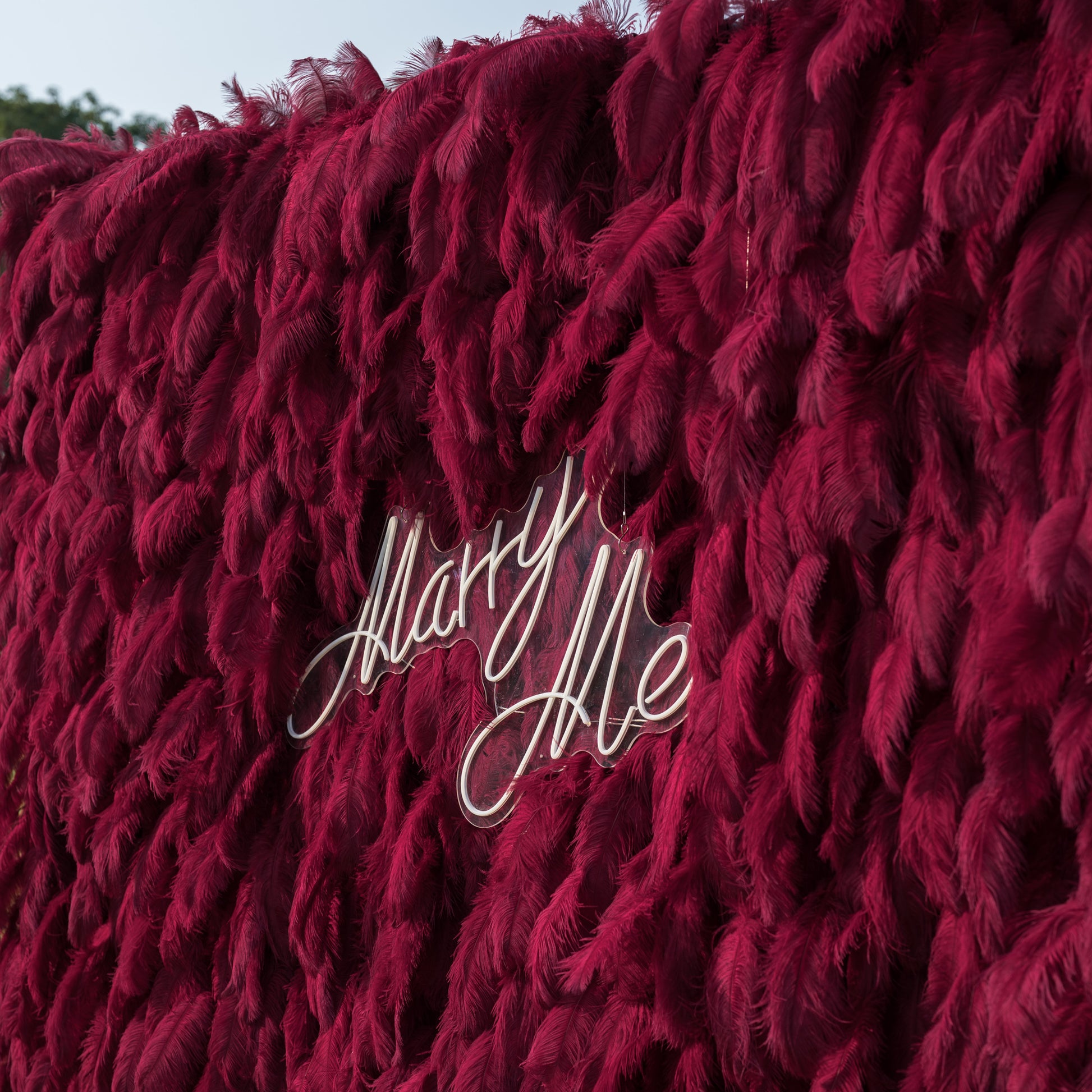 This intimate close-up showcases a romantic proposal detail: a sleek, clear acrylic sign reading “Marry Me” in elegant white cursive, set against a lush backdrop of deep burgundy ostrich feathers. The plush, velvety texture of the feathers creates rich depth and warmth, while the crisp, modern lettering adds a refined contrast, making it an opulent, intimate focal point for a moment of love and commitment.
