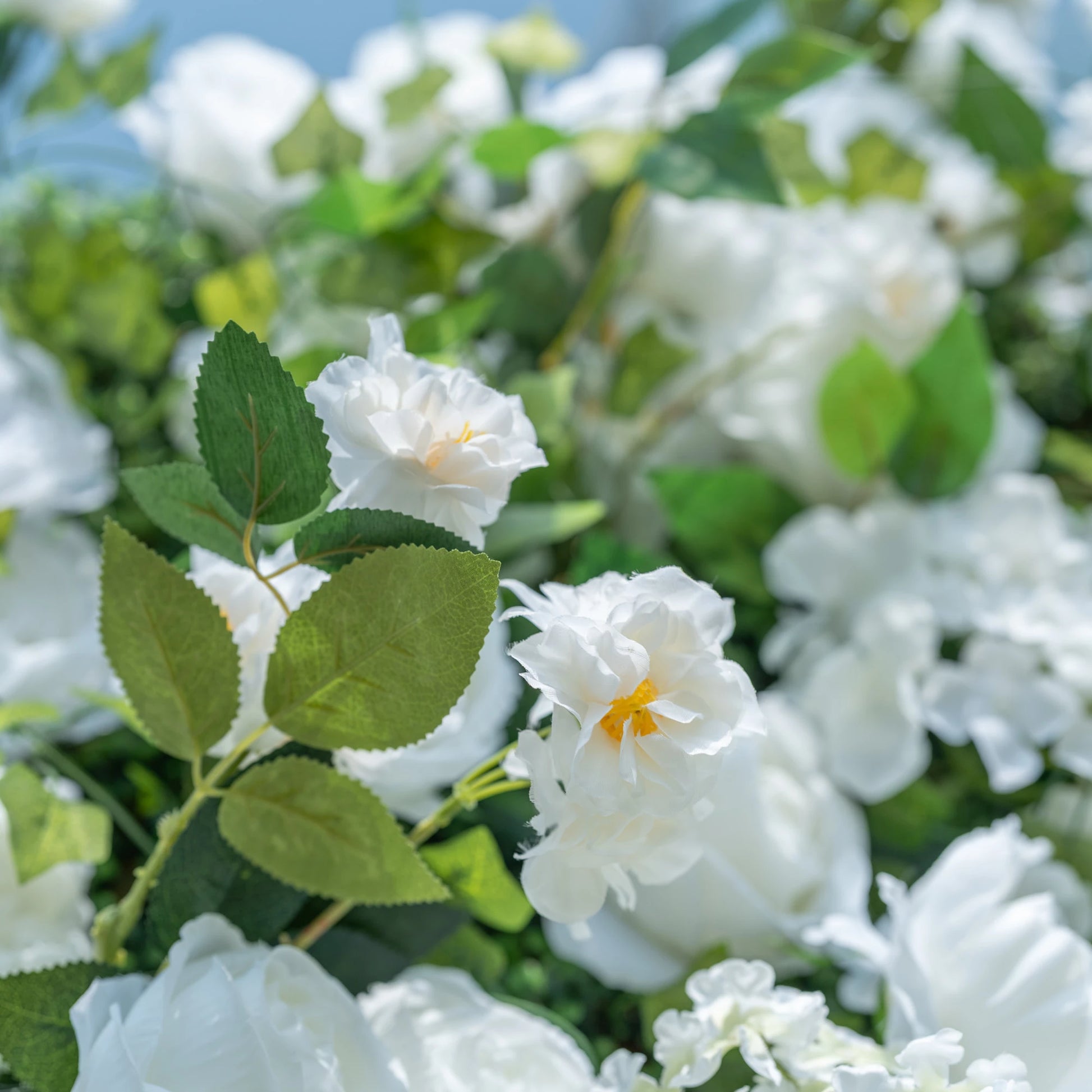 This close-up highlights Valar Flowers’ premium artificial white blooms, featuring delicate layered petals with soft yellow centers and hyper-realistic textured green foliage. The shallow depth of field emphasizes the intricate details of the flowers, creating a lifelike, romantic aesthetic. Maintenance-free and durable, these blooms are ideal for weddings, photo booths, and luxury events, offering a clean, timeless look perfect for professional styling.