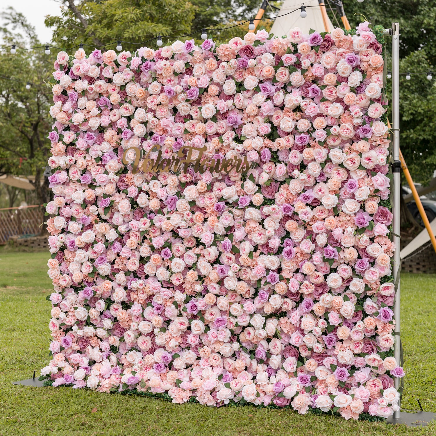 Valar Flowers Sunset Romance wall straight-on over manicured lawn featuring dense blush pink dusty rose and cream blooms with gold cursive Valor Flowers sign beneath bistro lights for milestone birthday celebrations and elegant photo booth installations