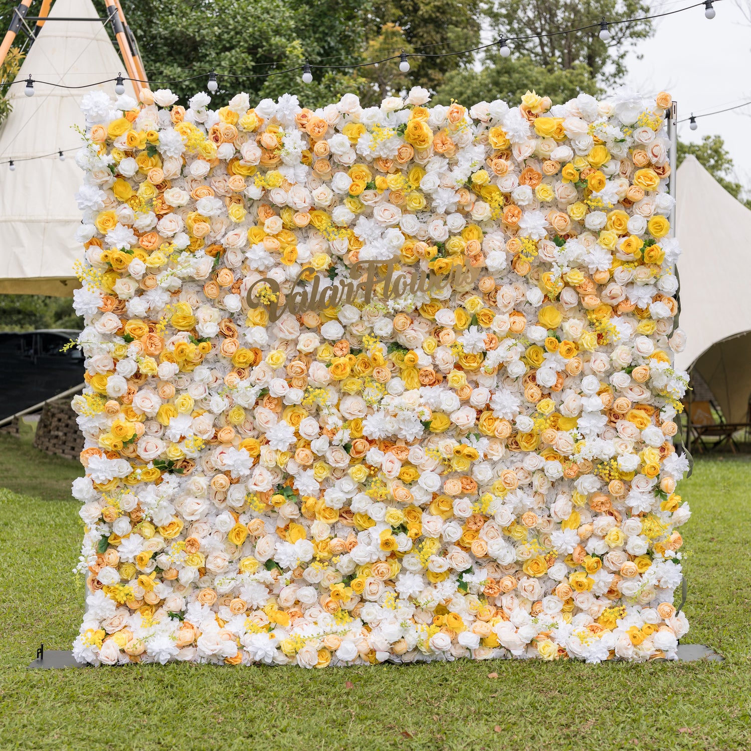 Valar Flowers Sun-Kissed Meadow flower wall front view: white yellow peach roses with gold sign on green lawn under string lights and tents. Romantic backdrop for summer weddings, garden parties, and event photography.