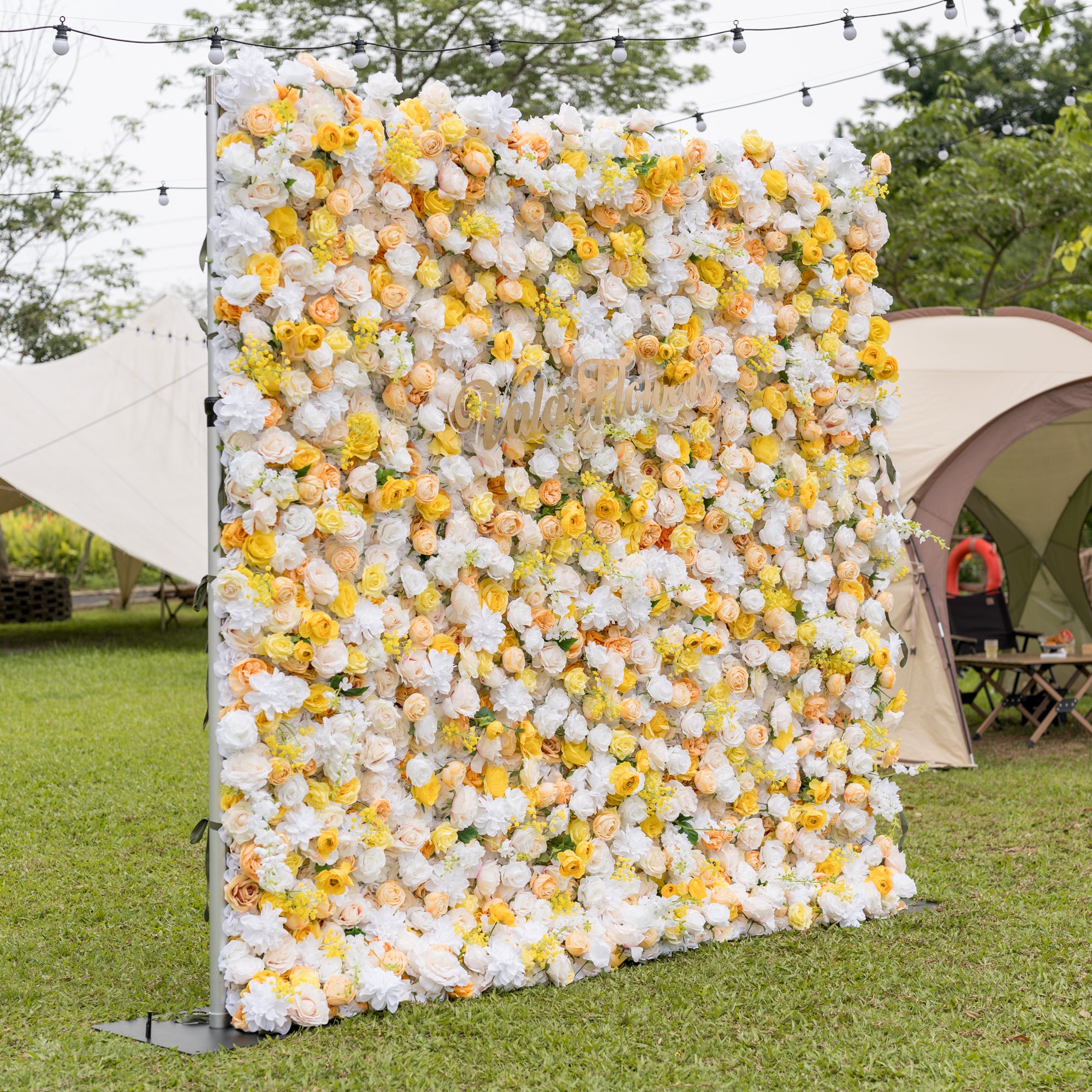 Three-quarter view of Valar Flowers rose hydrangea wall blending white yellow peach blooms with gold cursive sign, set outdoors with canvas tents and globe lights. Festive floral backdrop for garden celebrations and outdoor receptions.