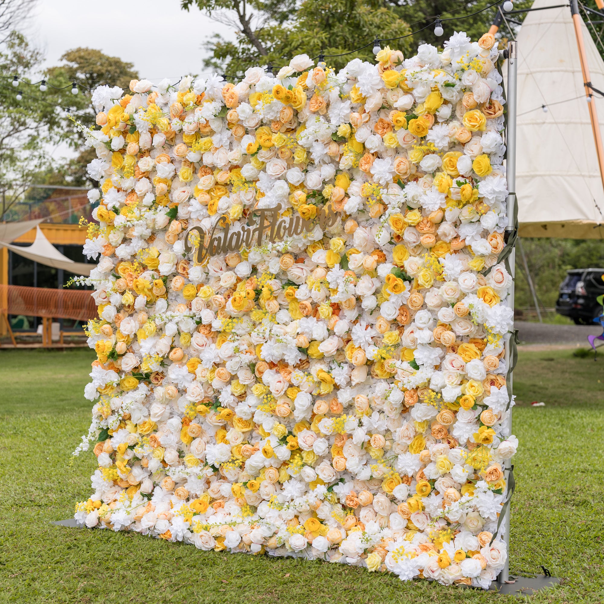 Valar Flowers wall straight-on: ivory yellow peach roses with gold sign on silver poles over lawn beneath bistro lights with teepee tent beyond. Timeless romance for outdoor wedding ceremonies and garden receptions.