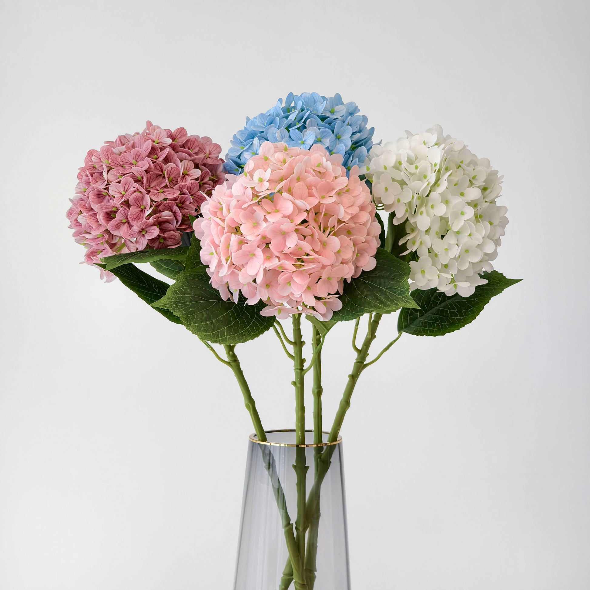 This arrangement showcases five hydrangea blooms in soft pink, deep pink, sky blue, and pure white, with lush green leaves. Placed in a sleek glass vase with a gold rim, it brings a fresh, elegant touch to home decor. The mix of pastel and vivid hues creates a charming, balanced aesthetic, perfect for adding a gentle, natural beauty to any space. 