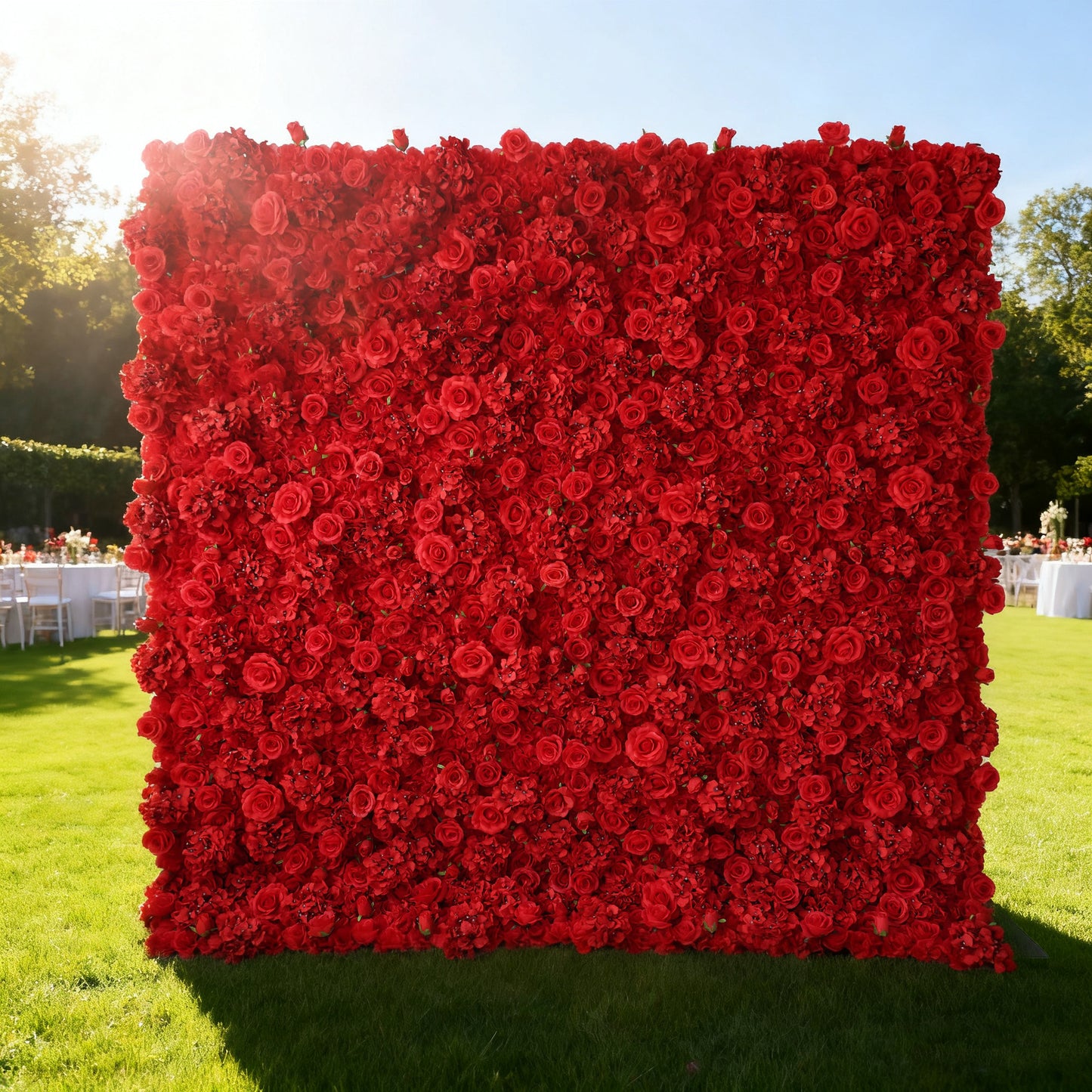 This image features a large, square floral wall outdoors on a lush green lawn. It's densely covered with vibrant red roses, creating a rich, bold, and striking display. Bathed in sunlight, with trees and event - like setups (white chairs and tables) in the background, the scene exudes a sense of luxury, passion, and natural beauty, perfect for decorative purposes in special events or as a captivating backdrop.